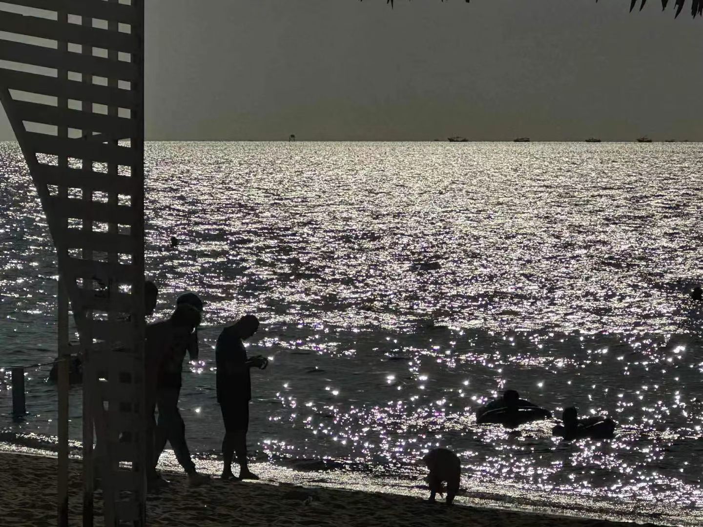滨海渔滩旅行图片