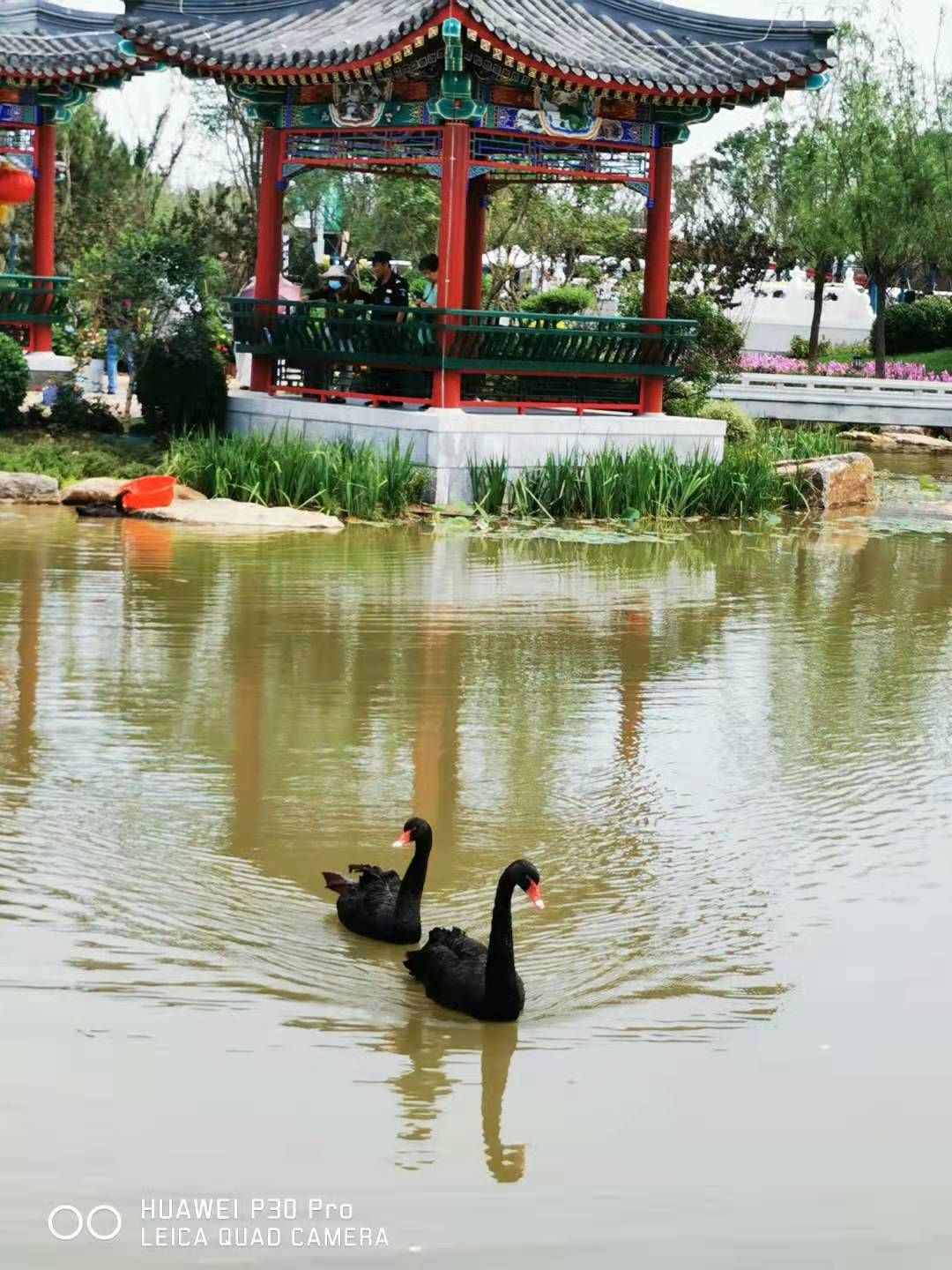 唐山花海中区旅行图片