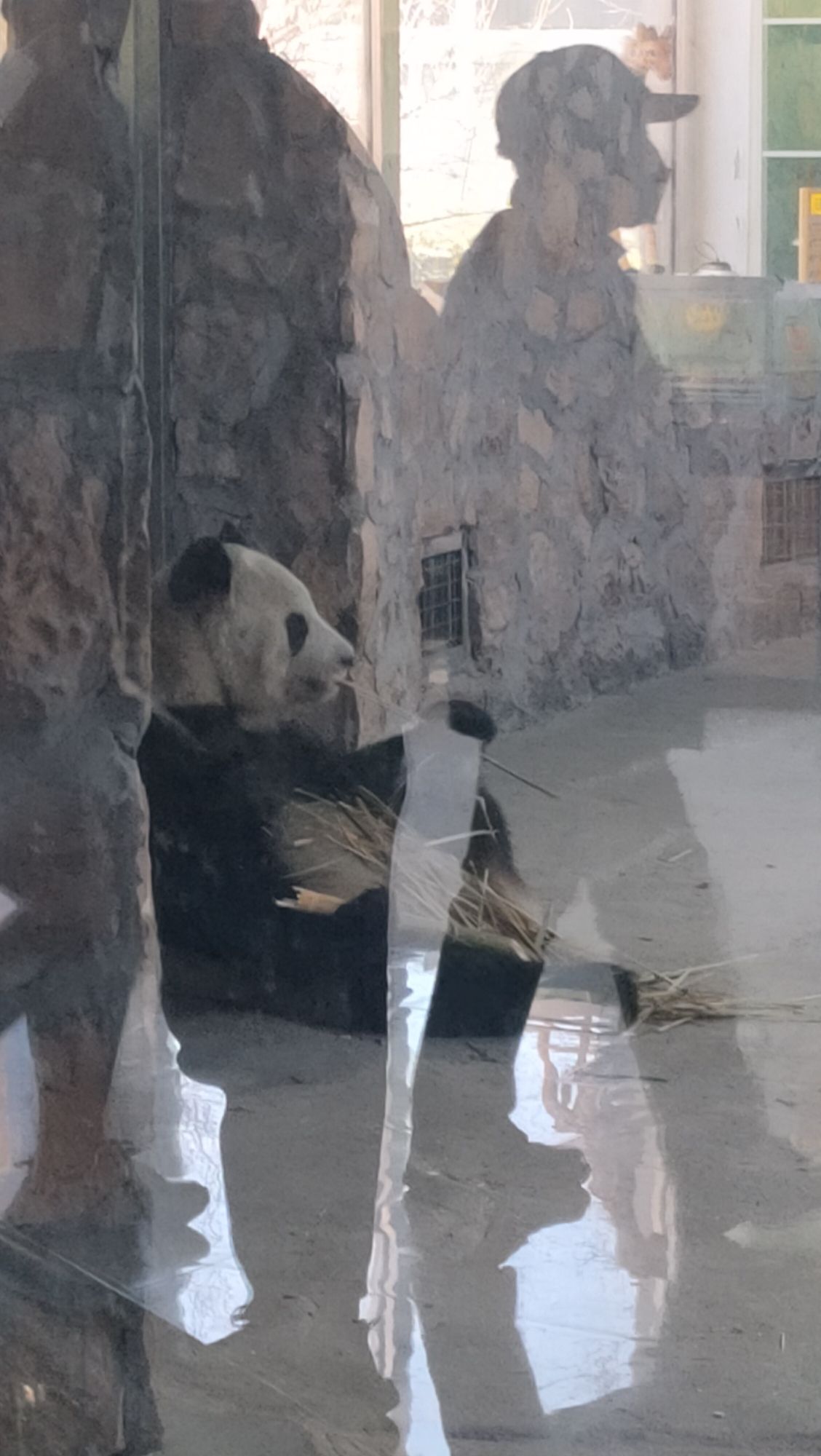 唐山花海中区旅行图片