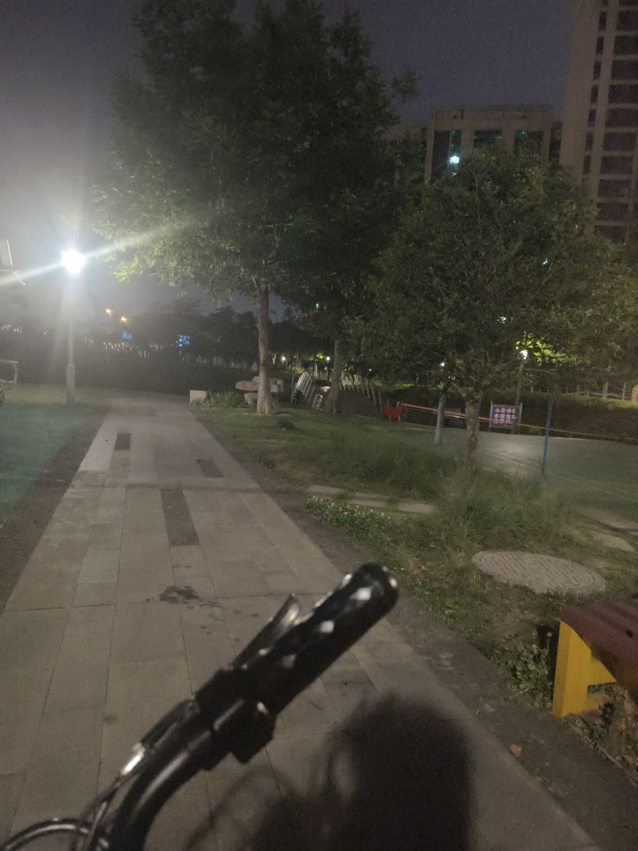 凤凰浜体育公园旅行图片