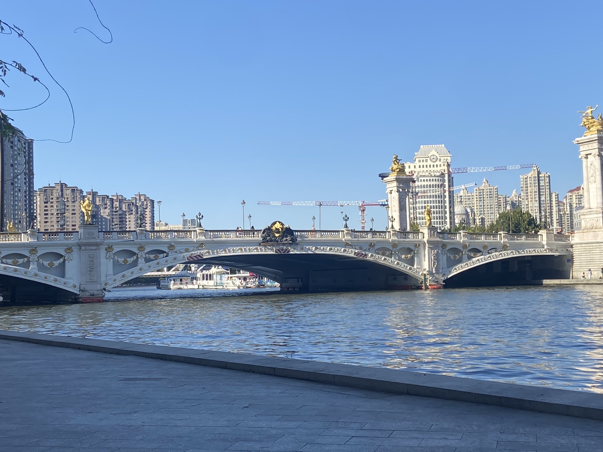 海河健康步道旅行图片