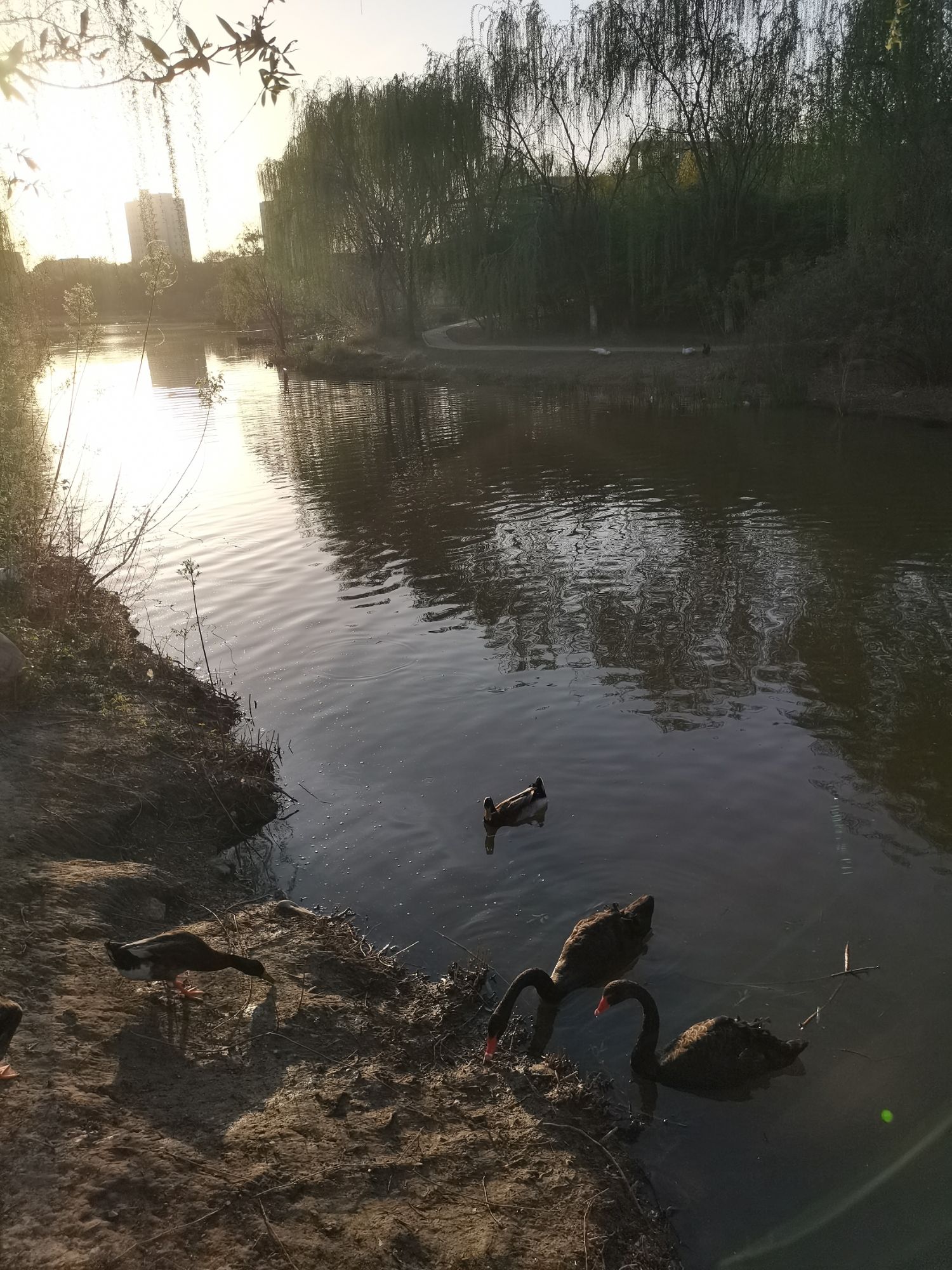 金钥匙湖