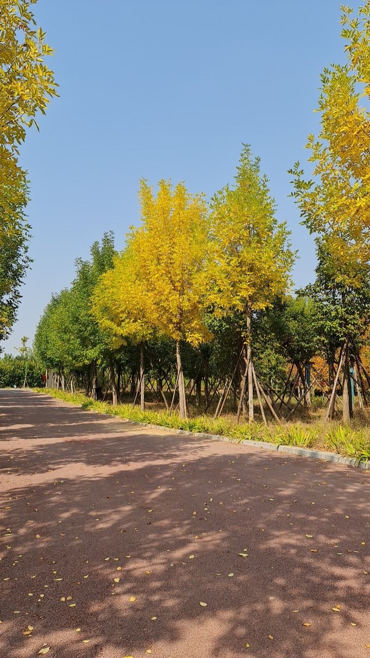 金水河植物园旅行图片