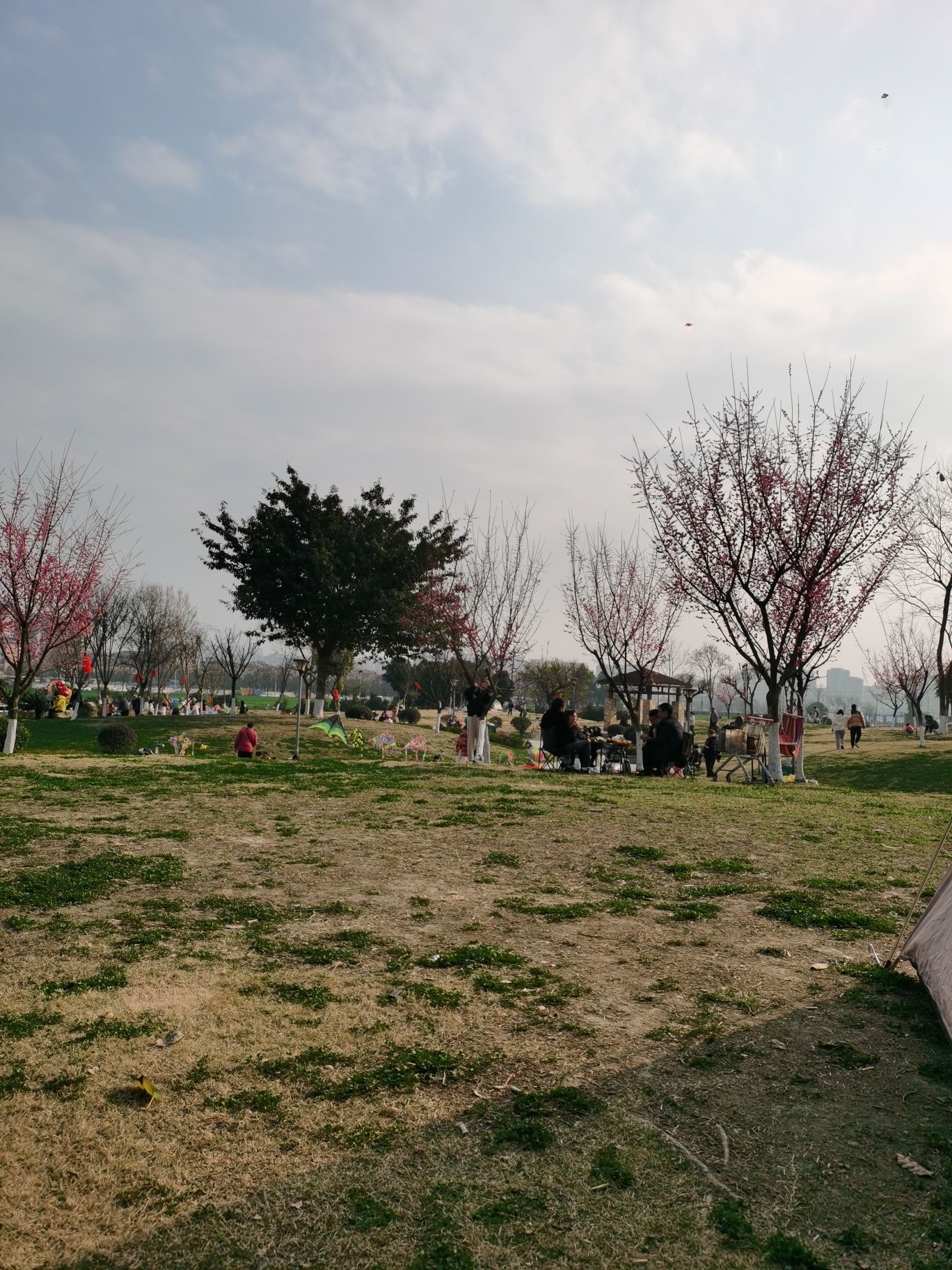 高家绿地公园