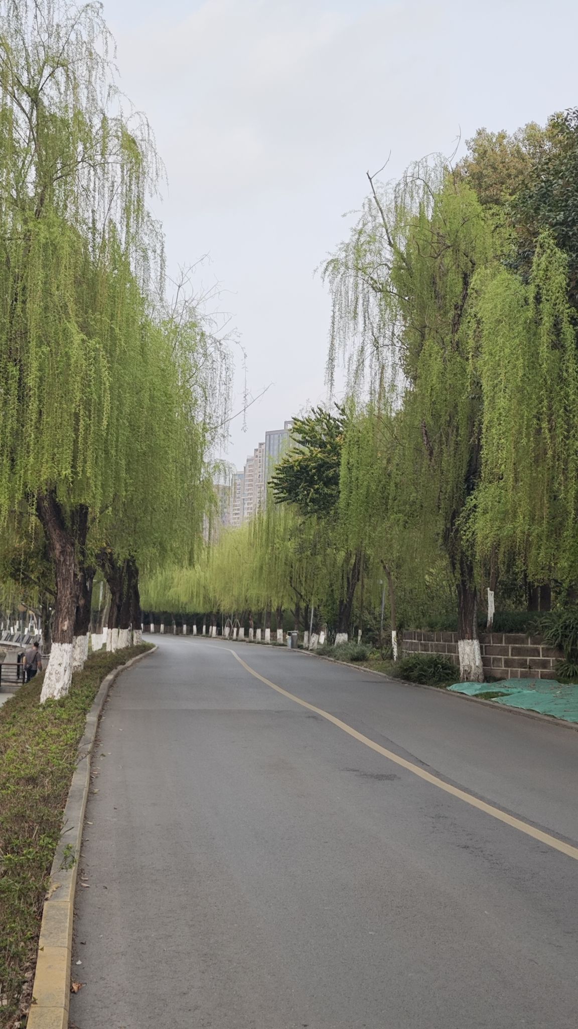 府河北公园
