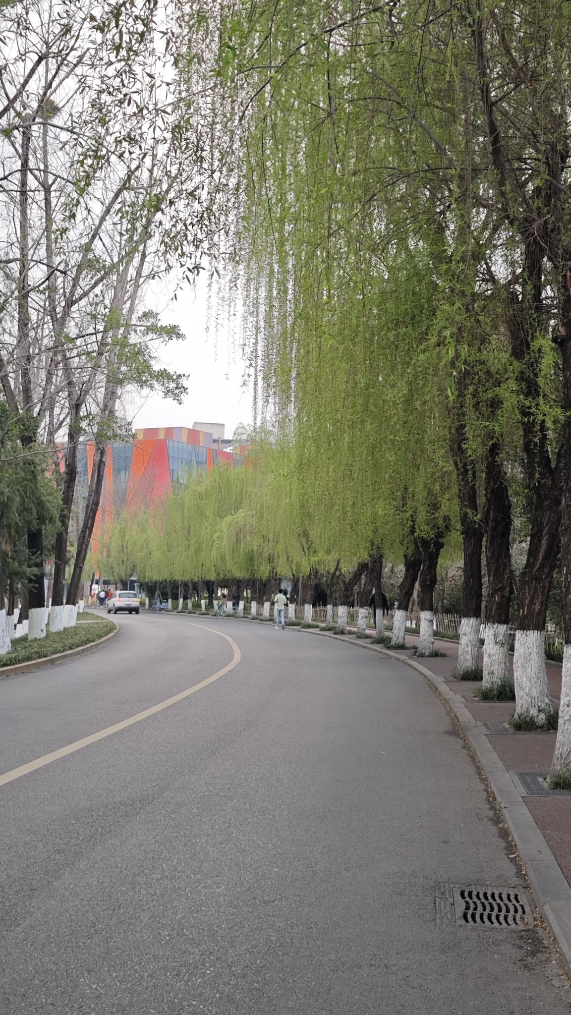 府河北公园旅行图片