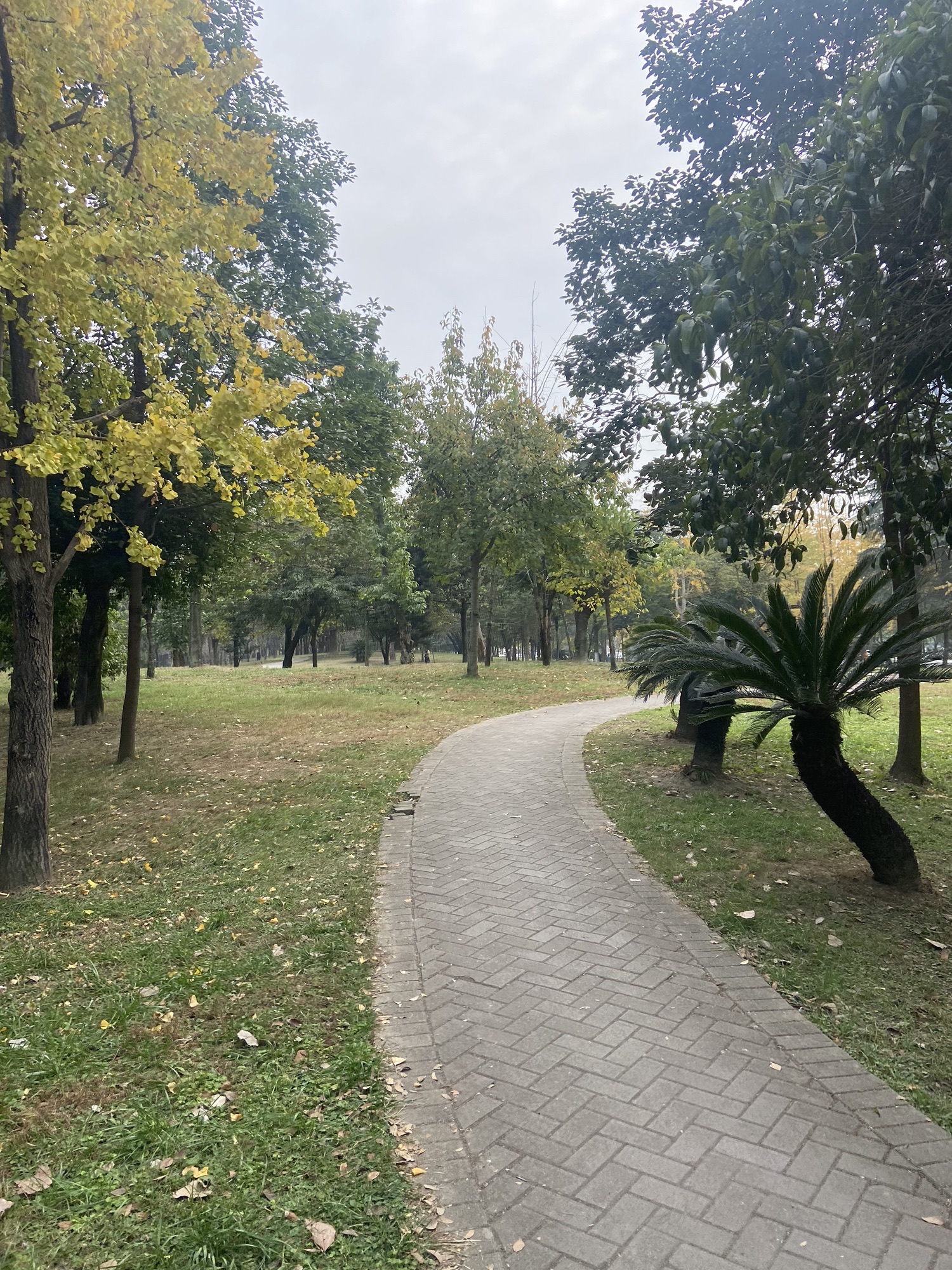 府河北公园旅行图片