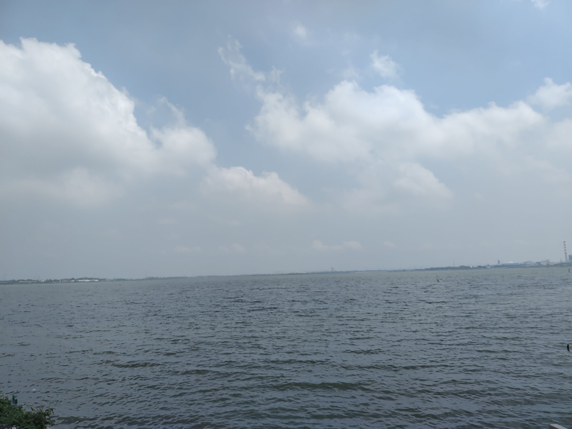 柳清湖湿地公园