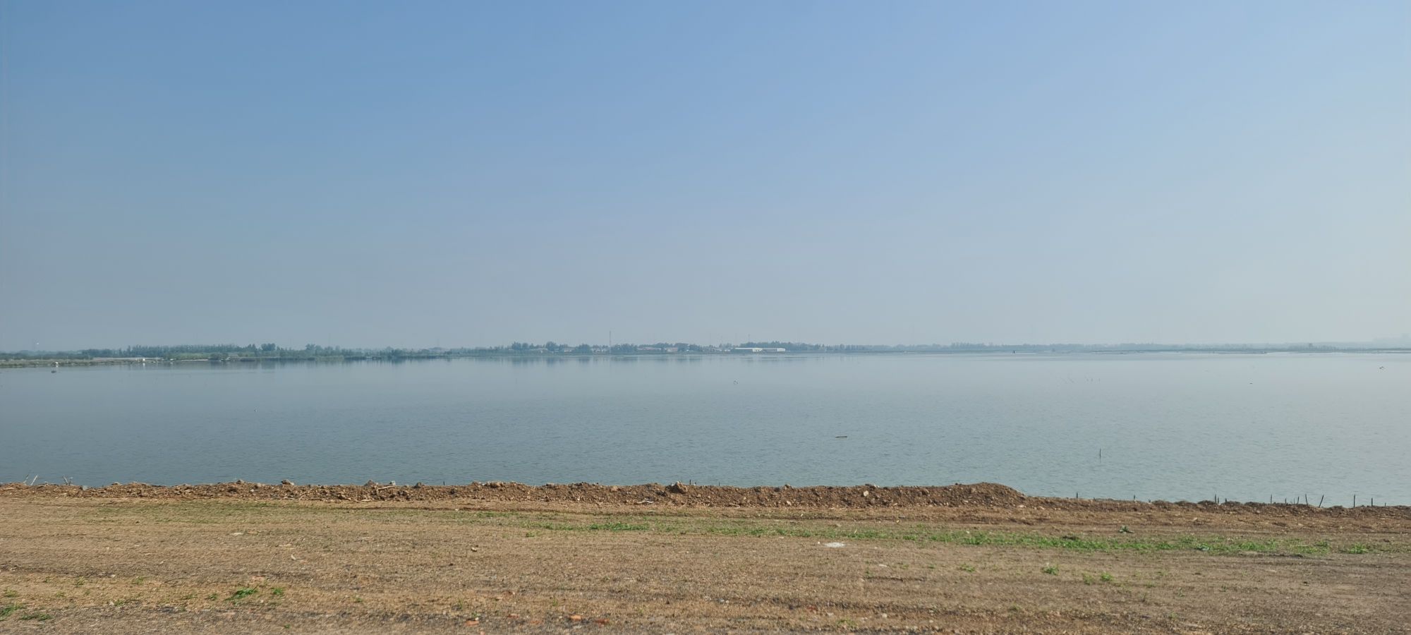 柳清湖湿地公园旅行图片