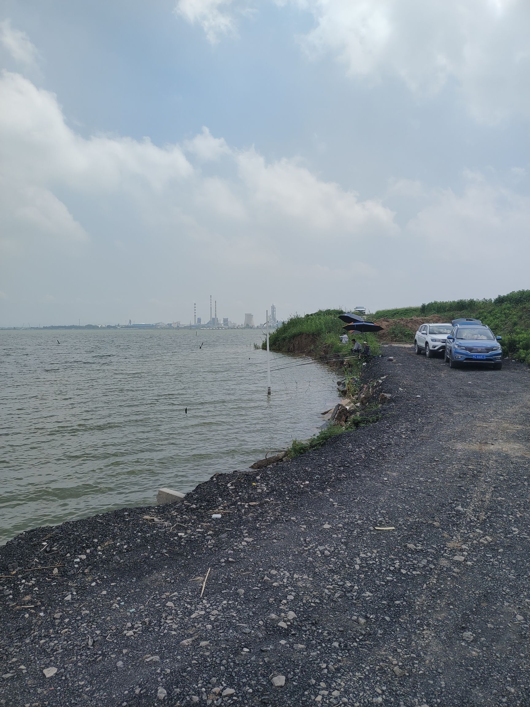 柳清湖湿地公园旅行图片