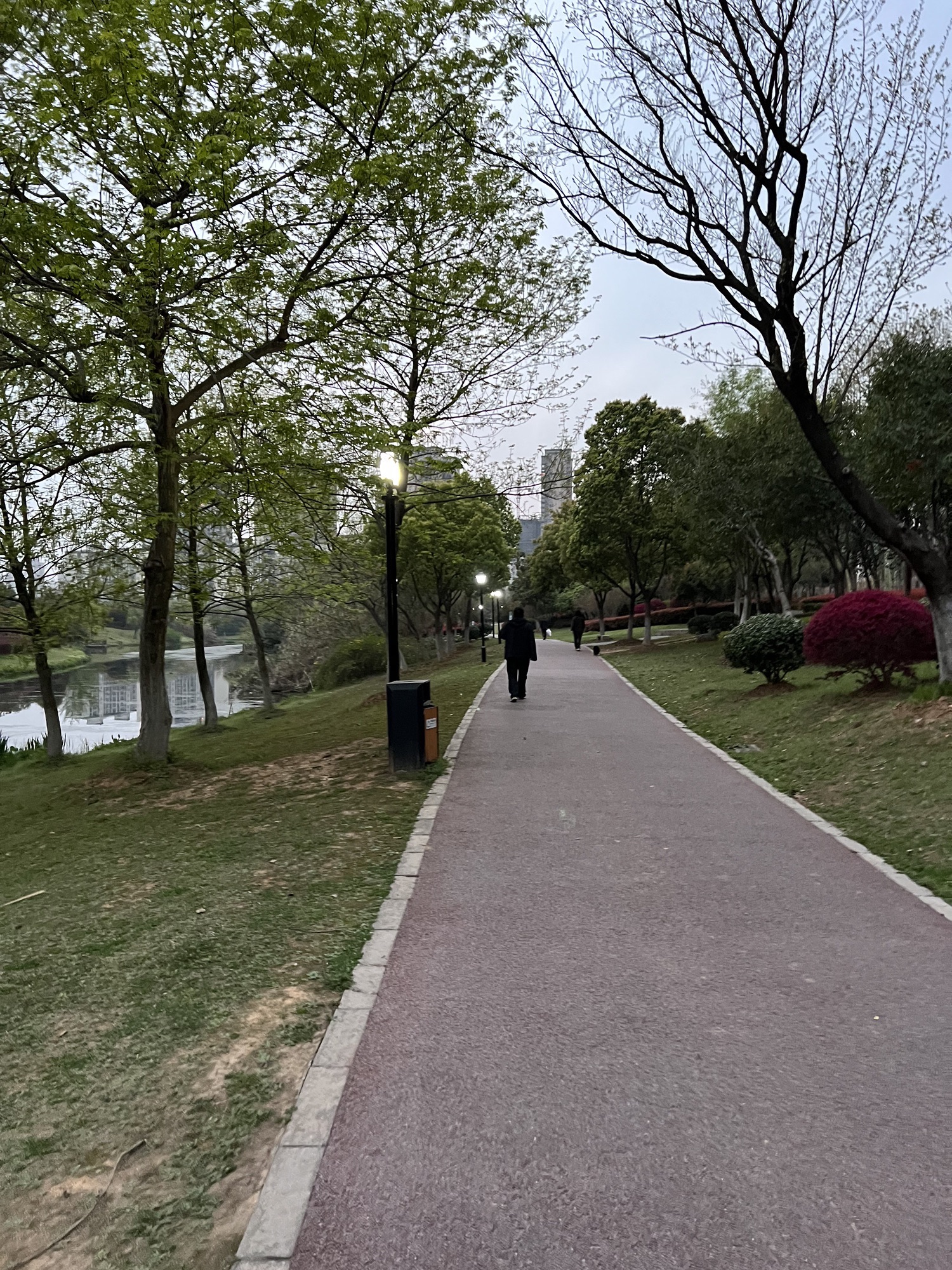 秀水河公园