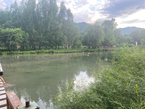 青龙河湿地公园
