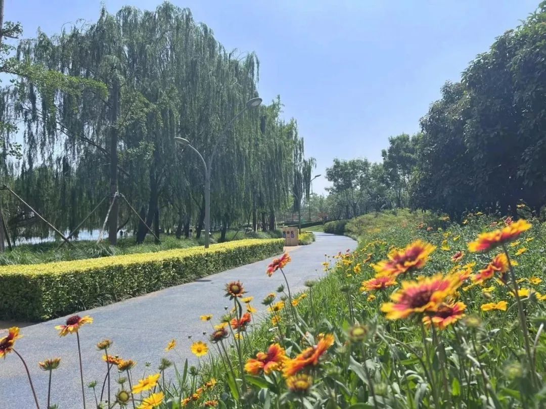 郑州龙湖湿地公园旅行图片
