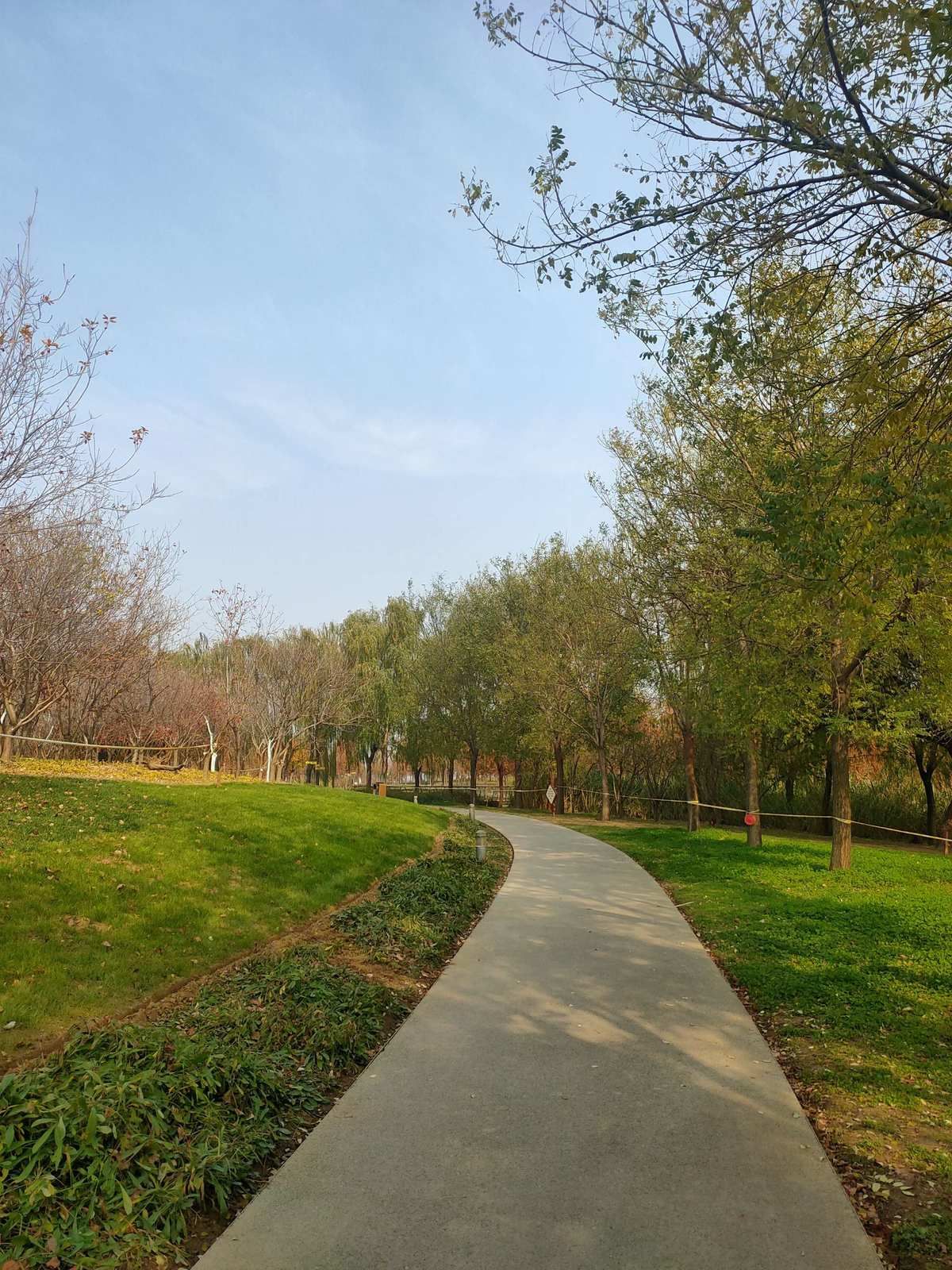 郑州龙湖湿地公园旅行图片