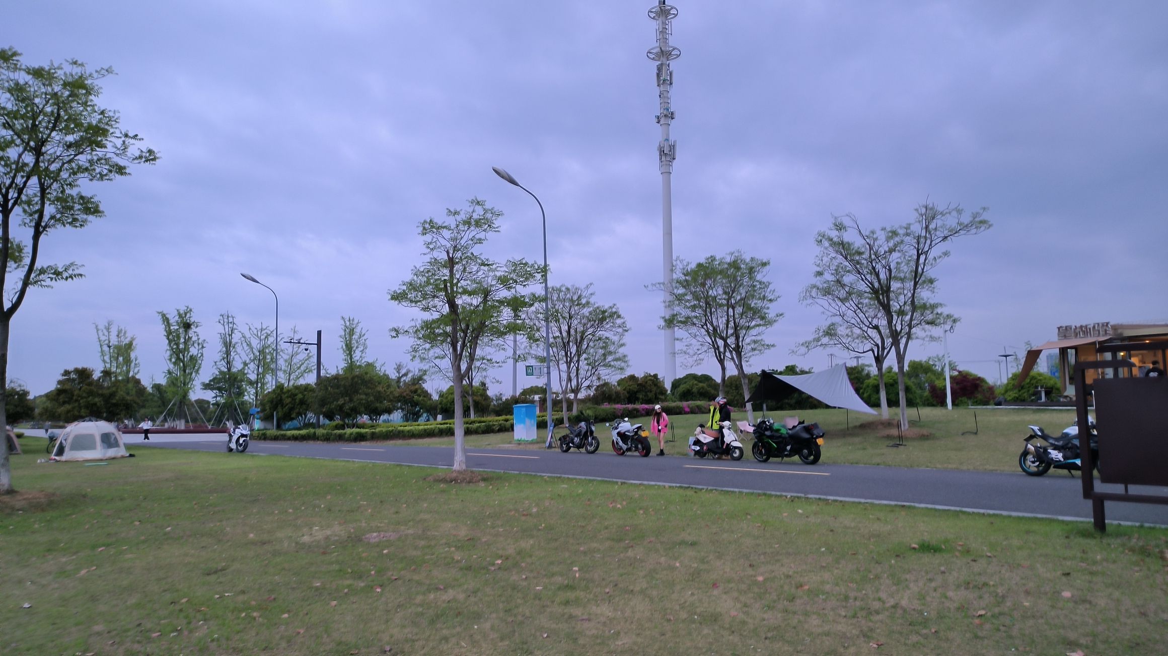 天鹅岛