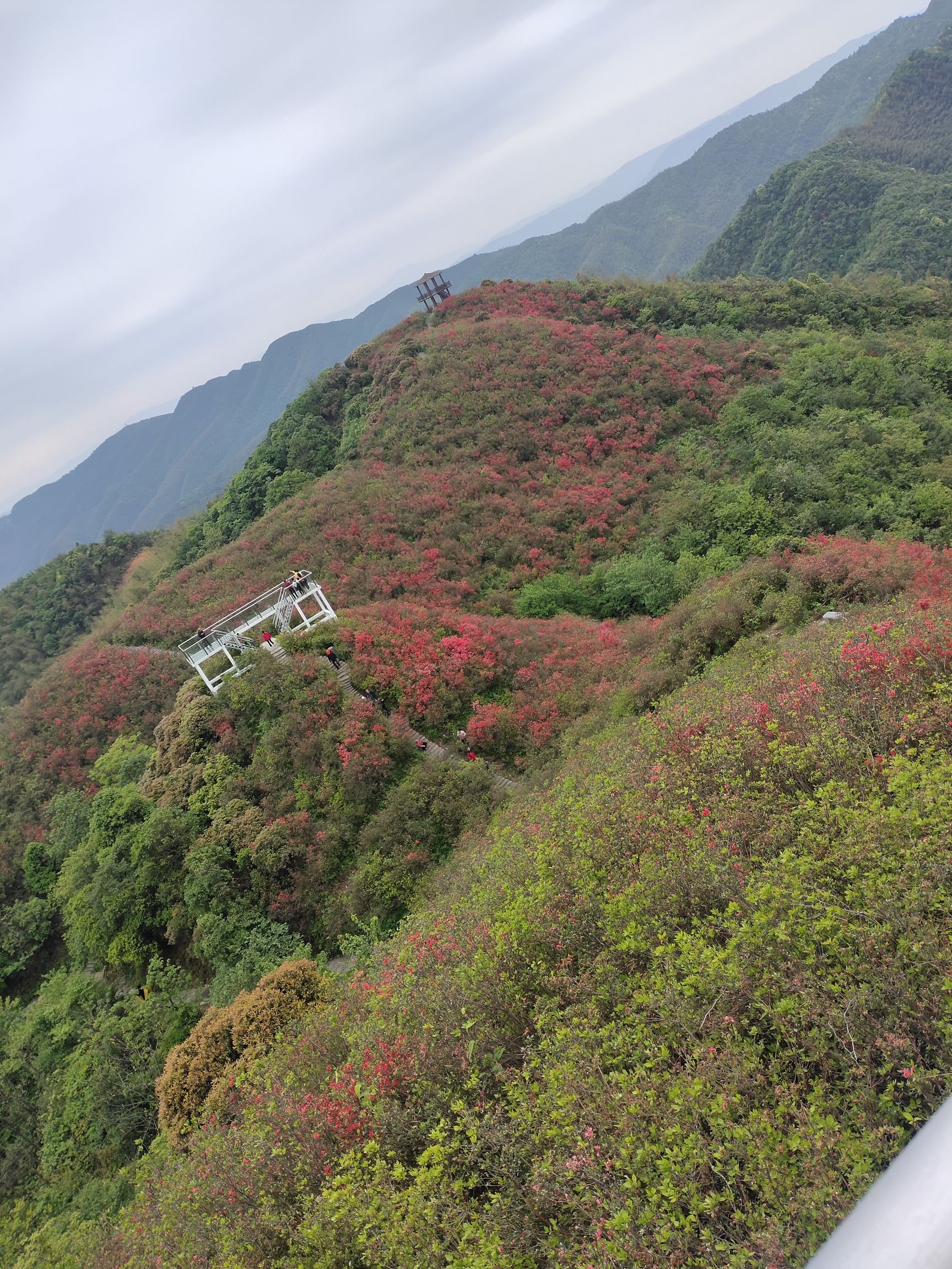 广寒寨四八门映山红景区