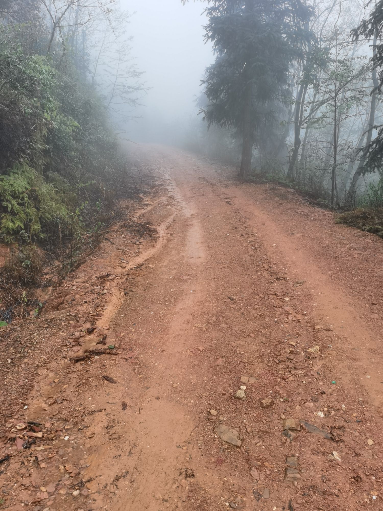 广寒寨四八门映山红景区旅行图片