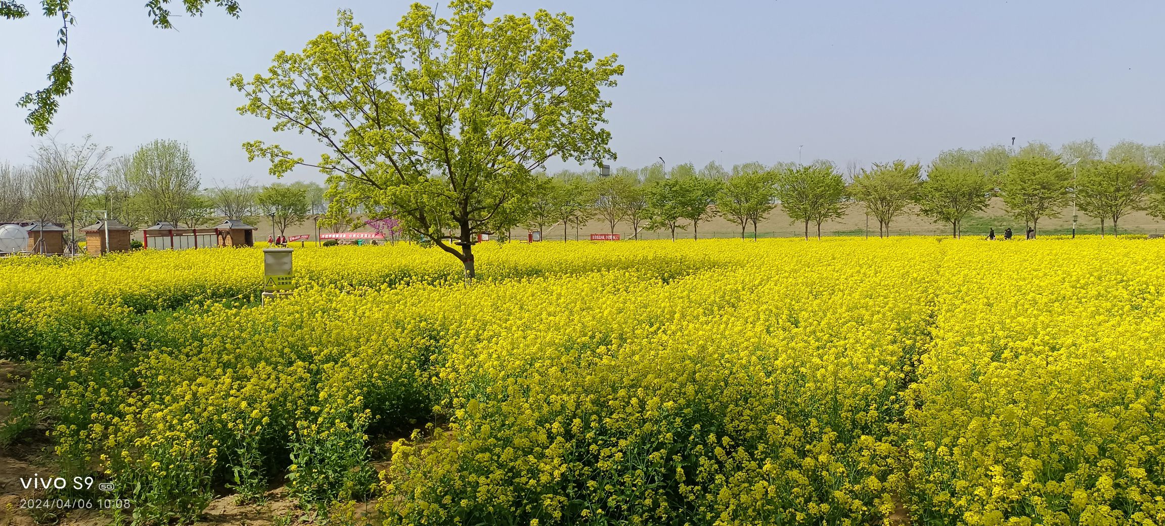 牛楼小镇旅行图片