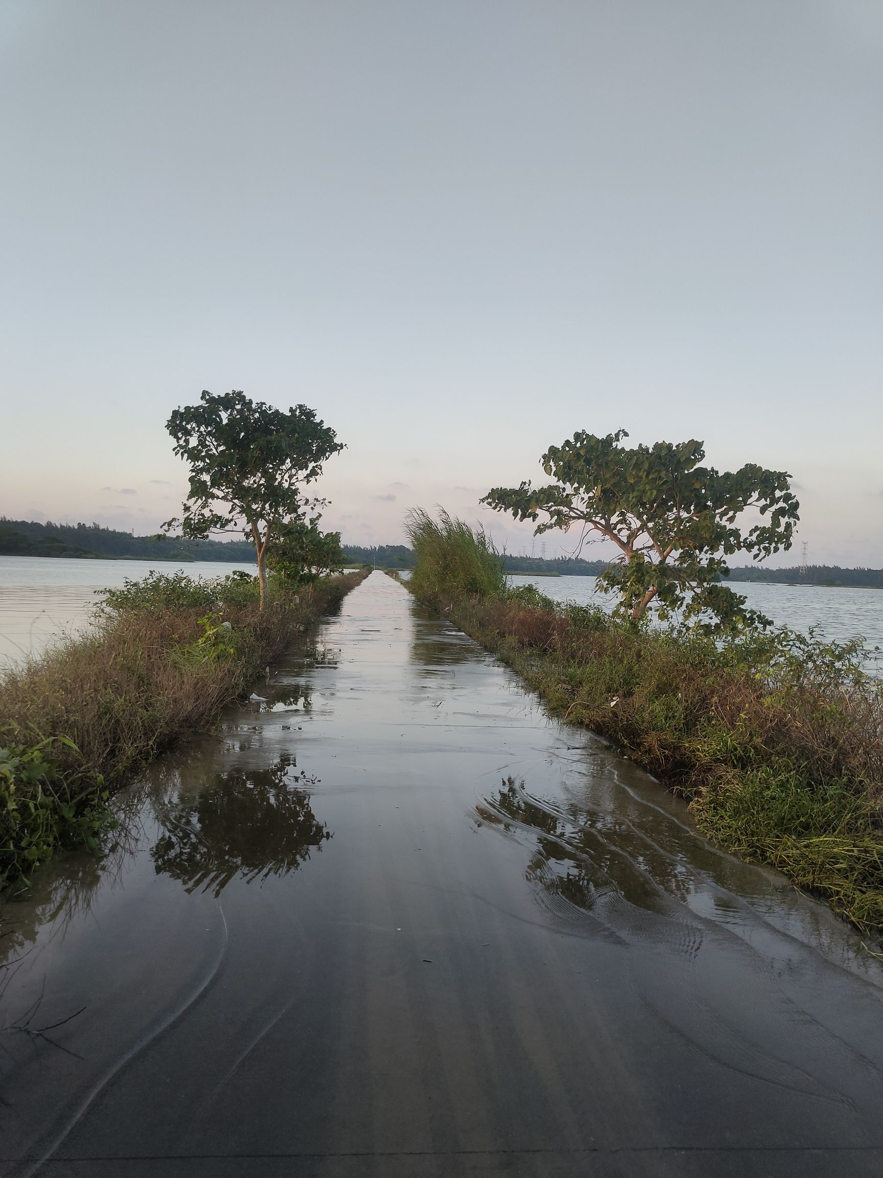 新旧沟湿地公园