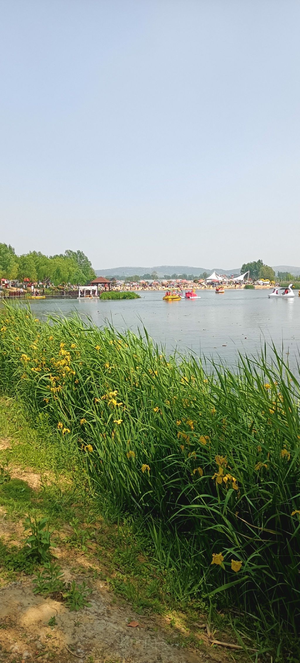 白楼湾湿地公园旅行图片