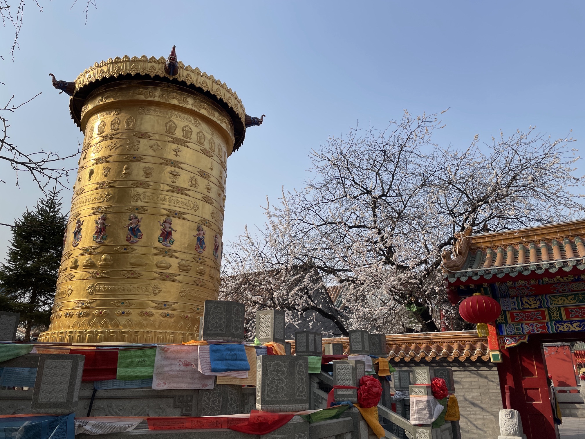 老北市