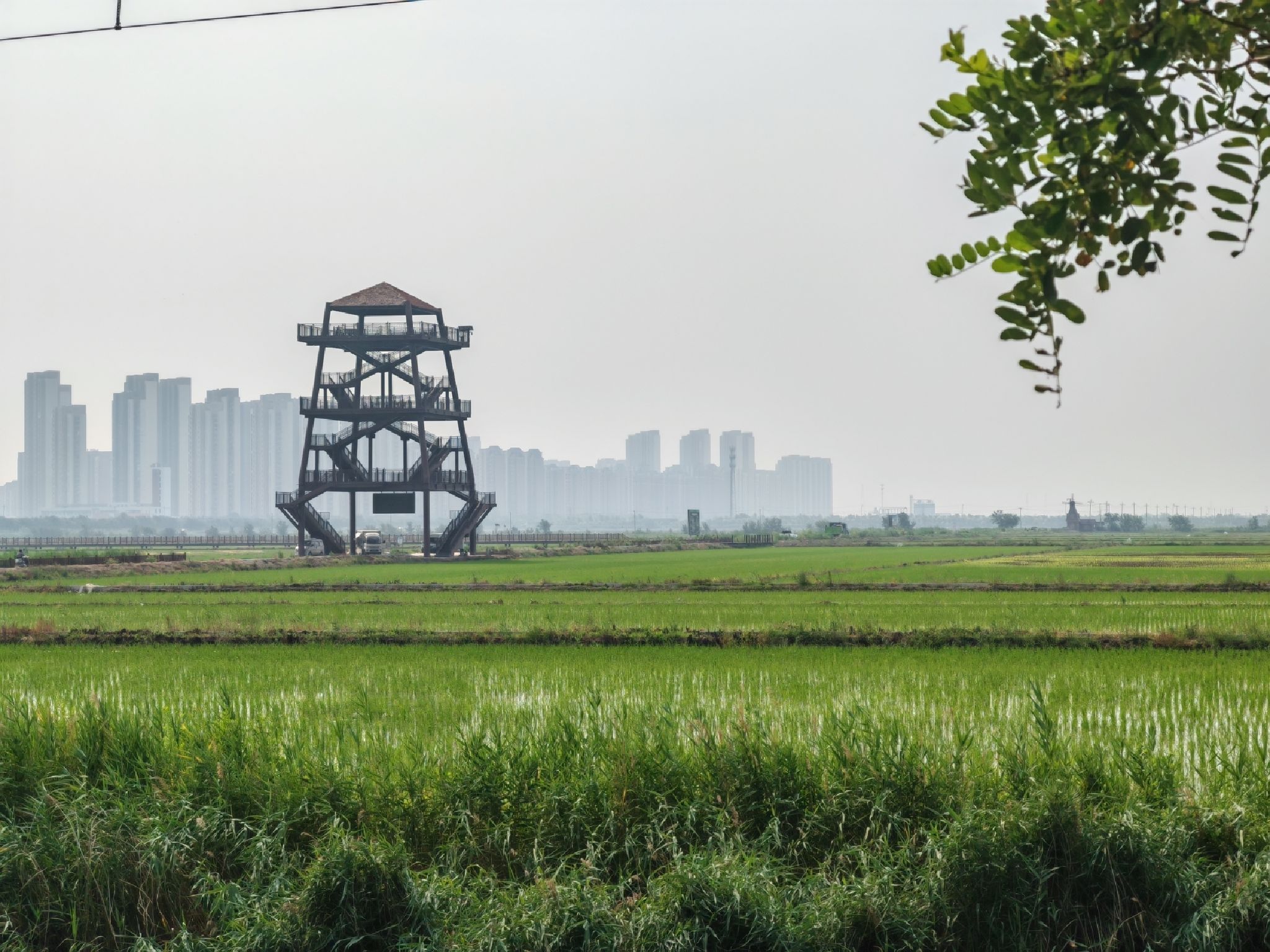 西青区王稳庄镇生态绿廊瞭望塔旅行图片