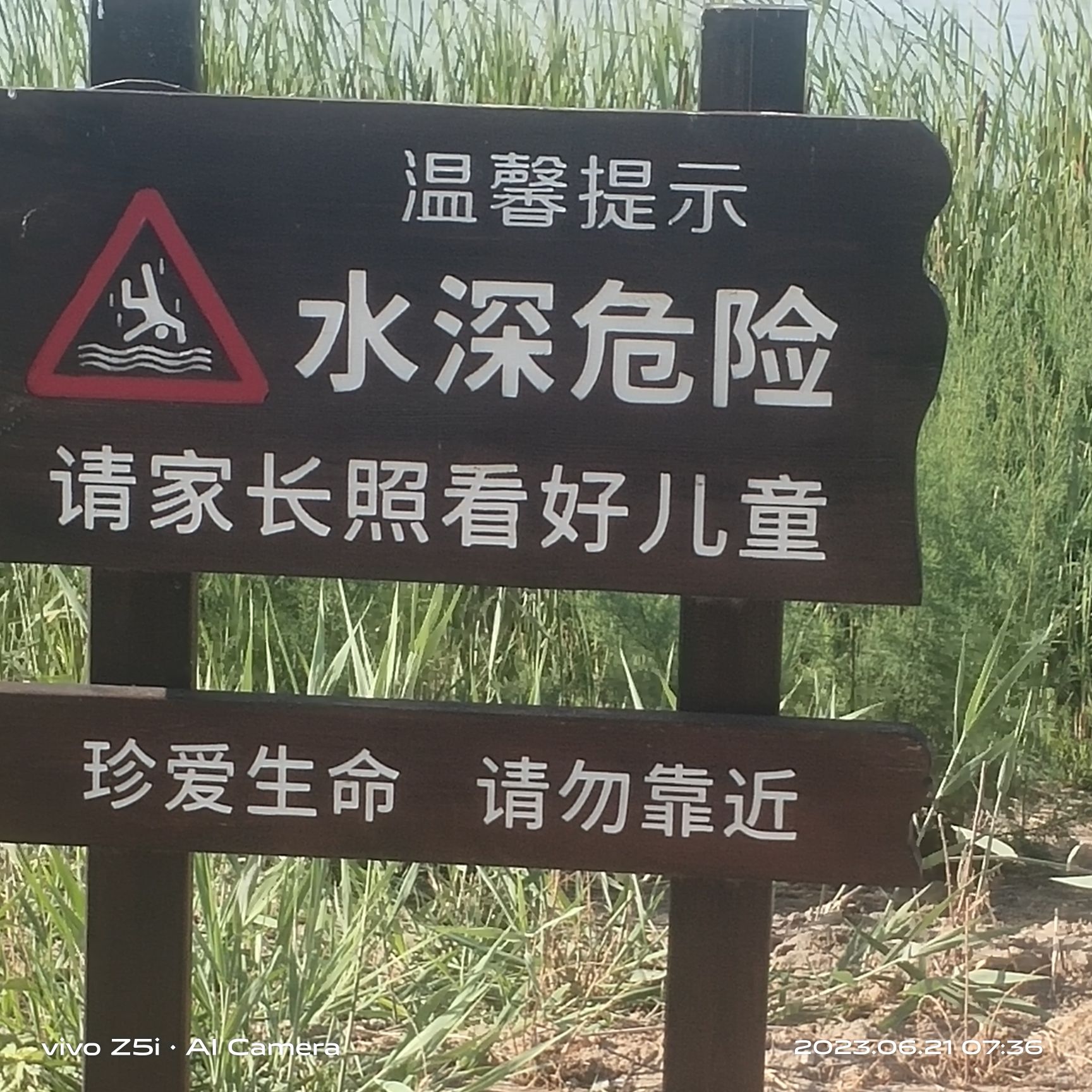 西青区王稳庄镇生态绿廊瞭望塔旅行图片