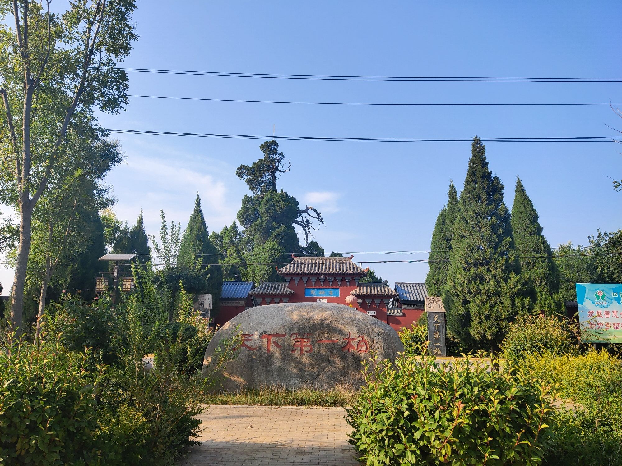 古柏苑旅行图片