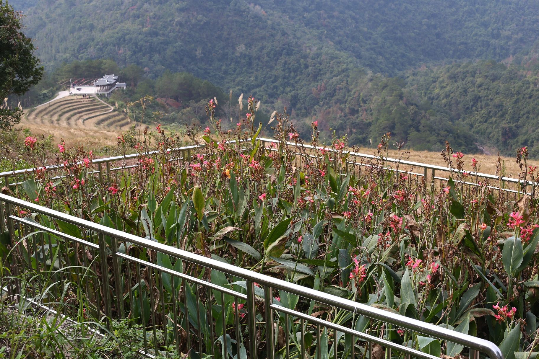 百马梯田景区
