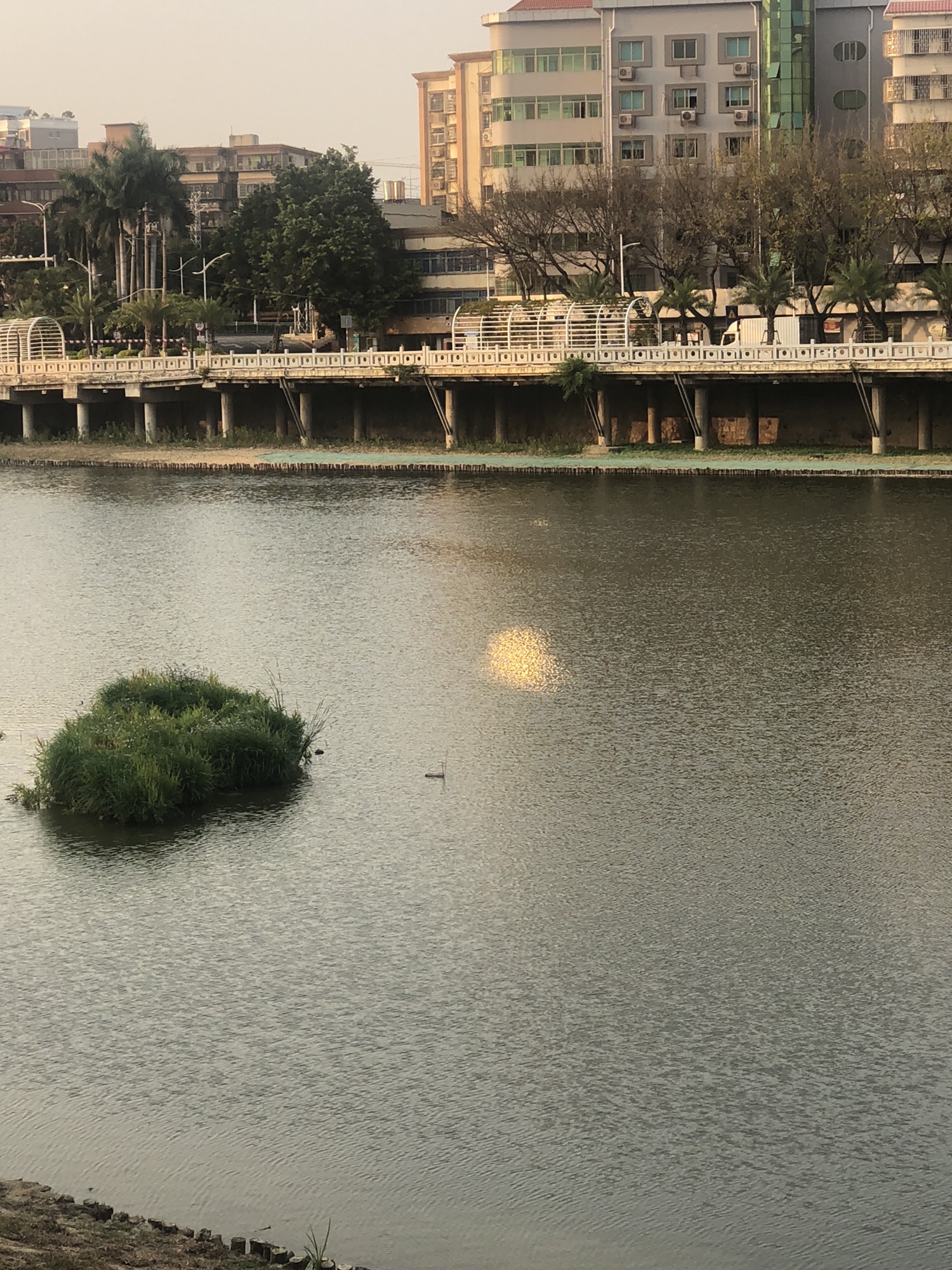 溪流生态湿地公园