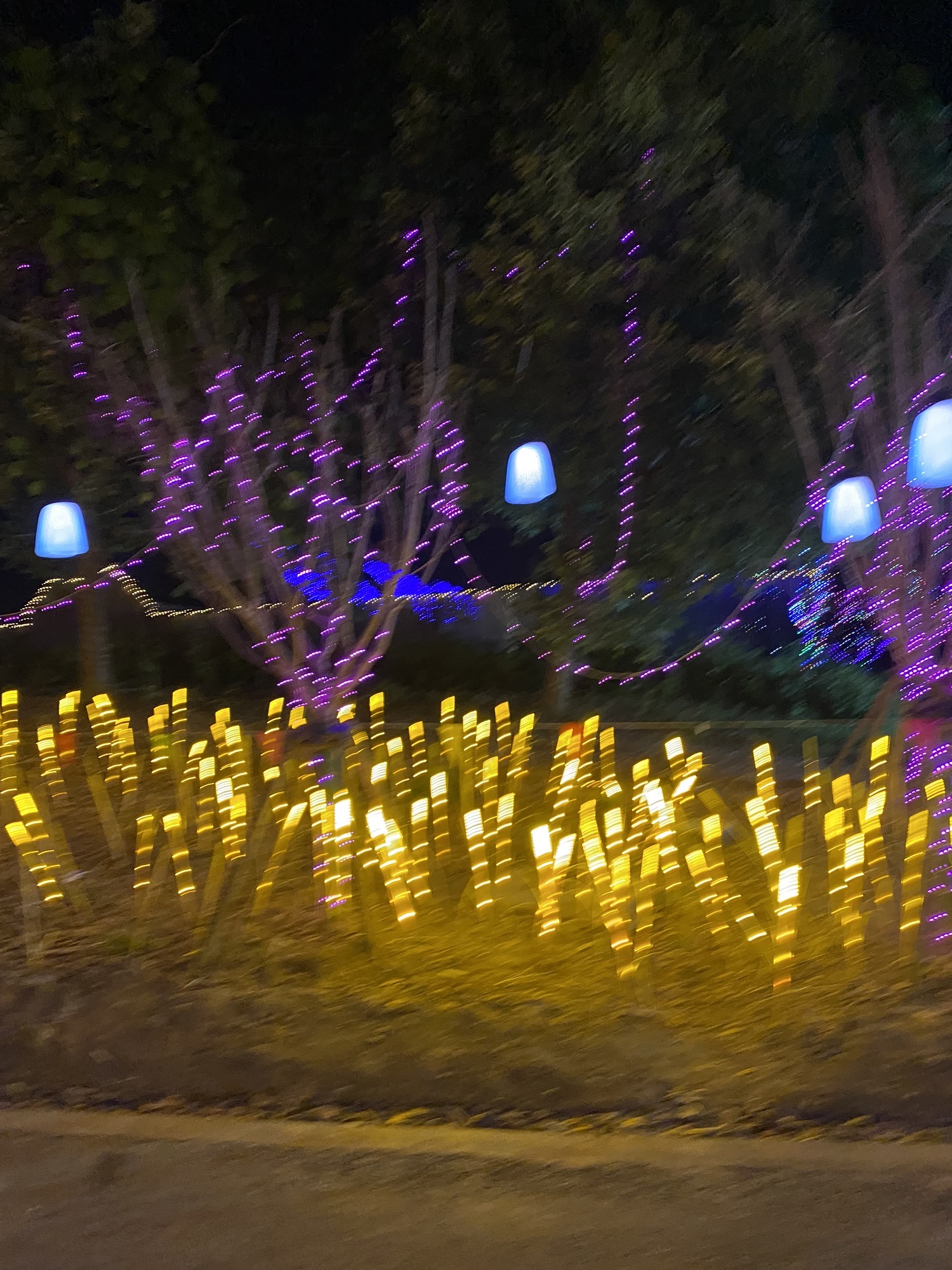 上海张马