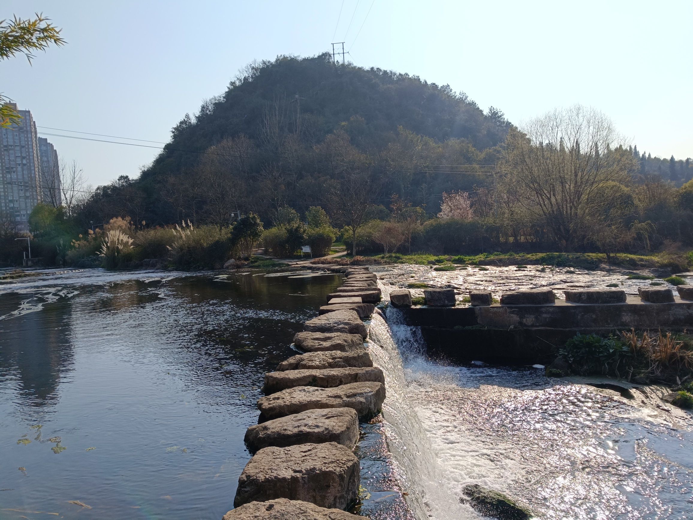 老马河湿地公园