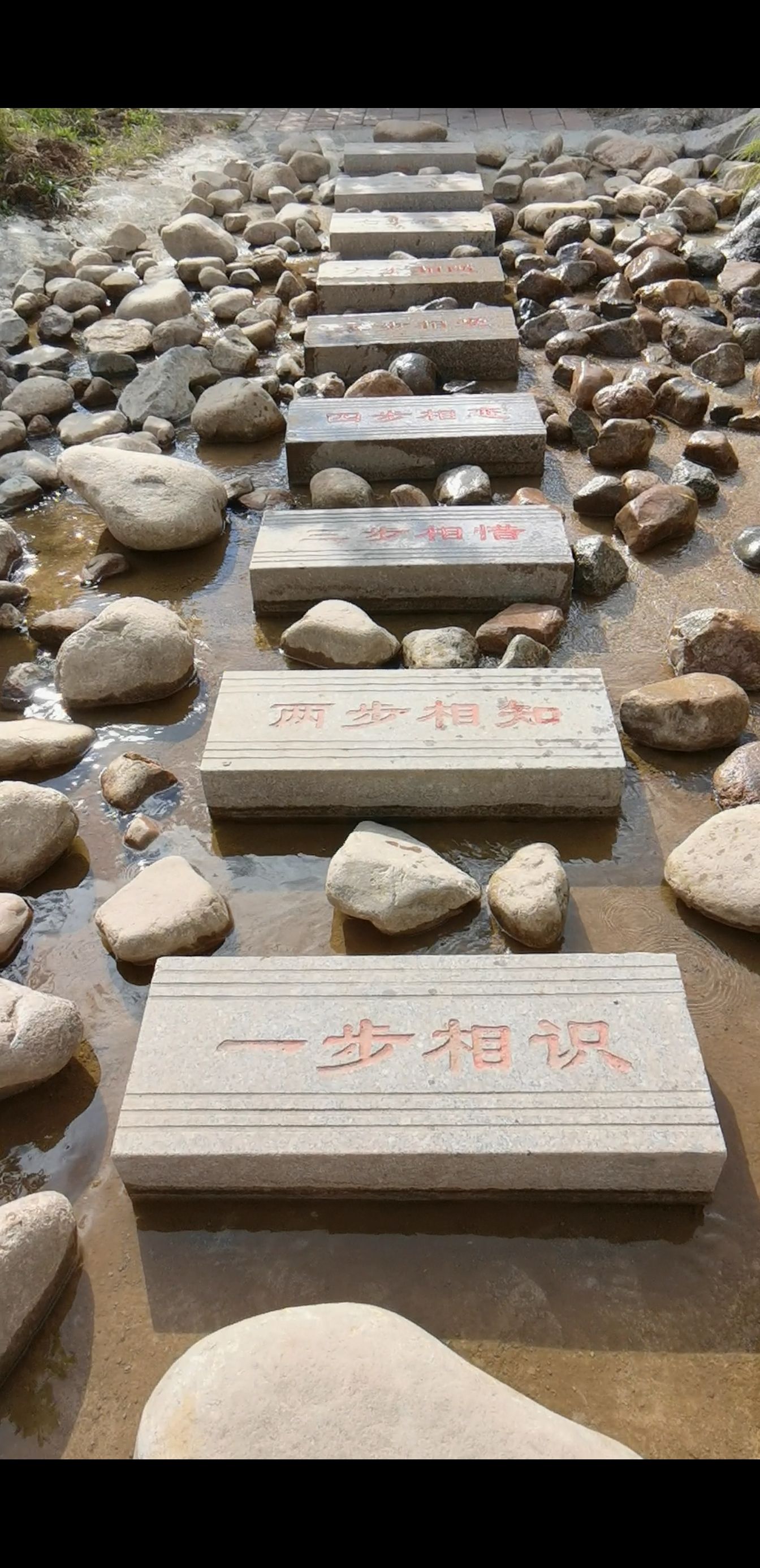 紫蒙湖太阳岛景区旅行图片