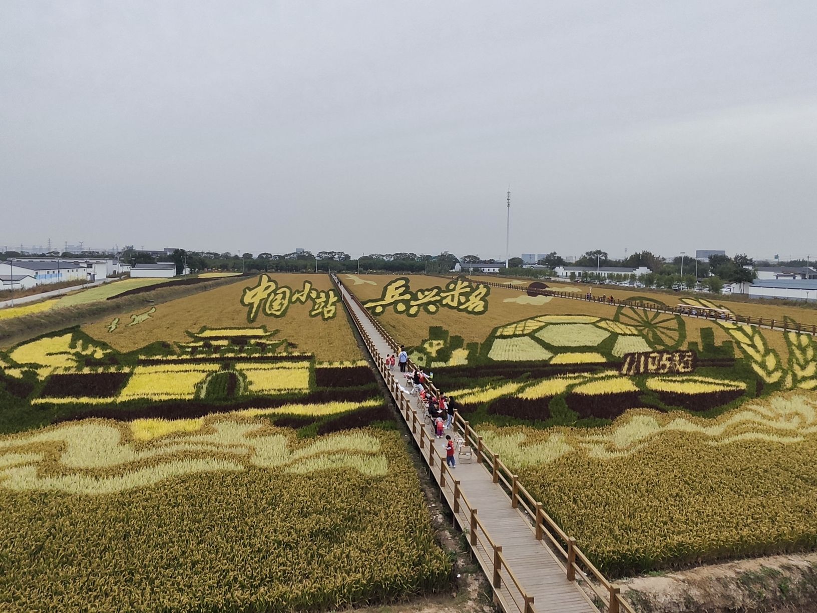小站稻会馆种植核心区