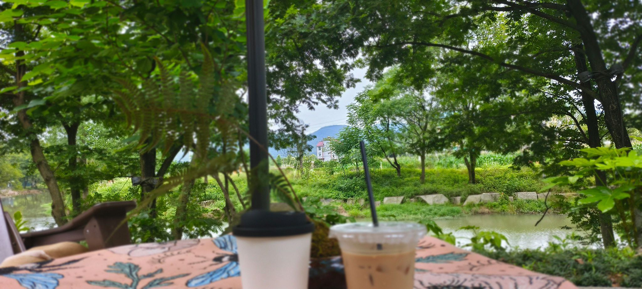 余东村景区旅行图片