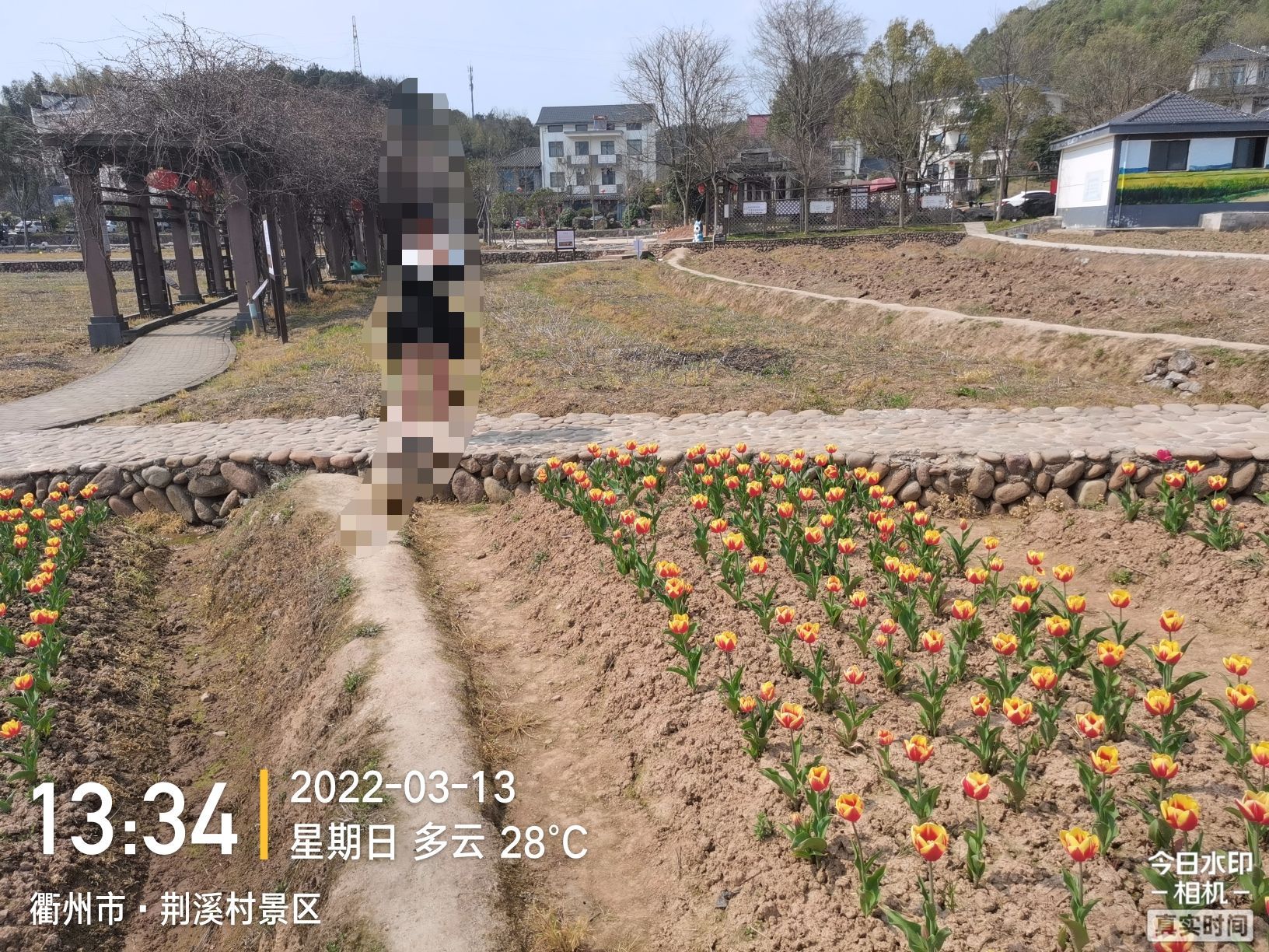 荆溪村景区