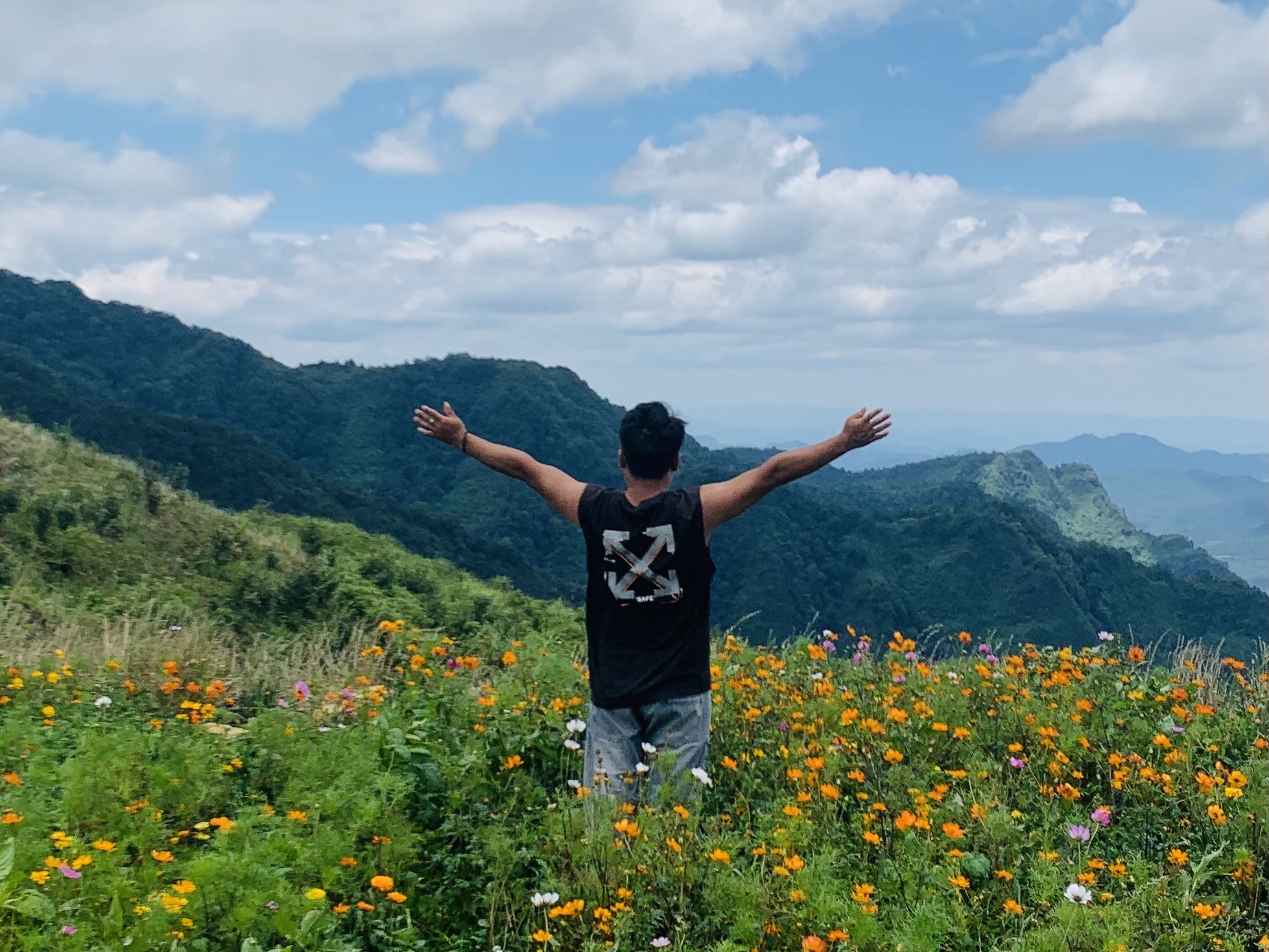 全达风车花海旅行图片