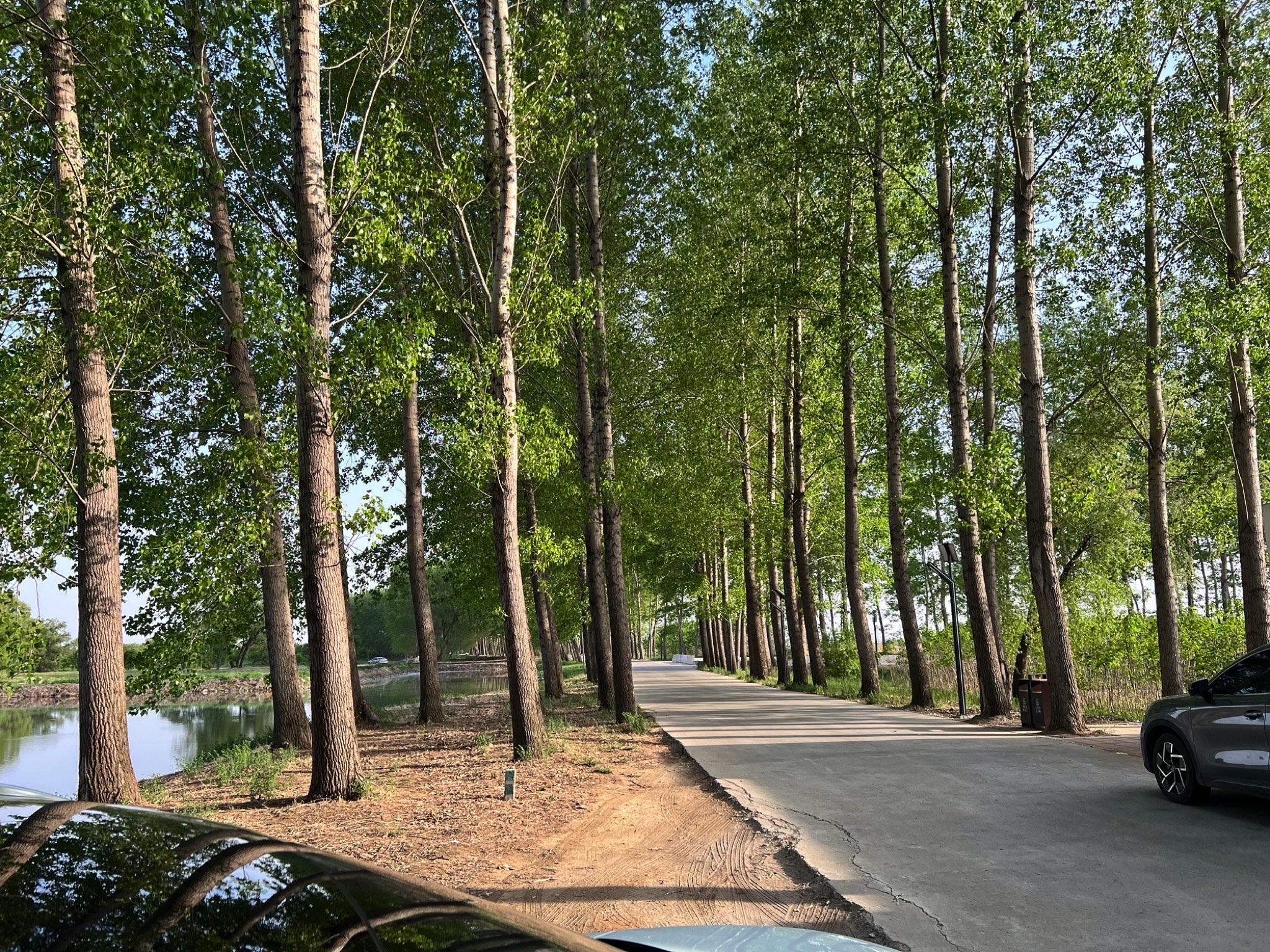 沈阳溪溪湖湿地公园旅行图片