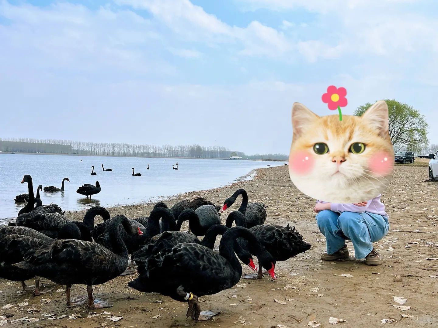 沈阳溪溪湖湿地公园旅行图片