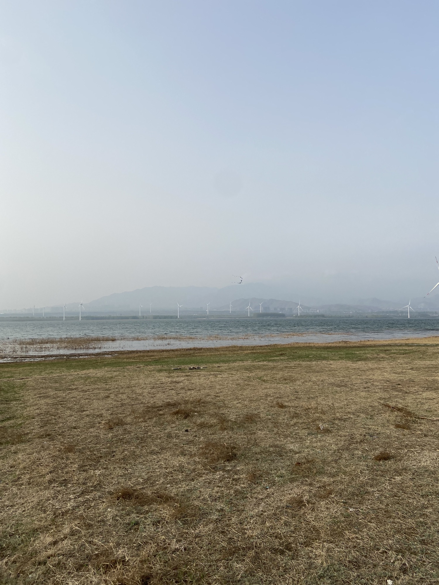 官厅湖南岸国家湿地公园(建设中)