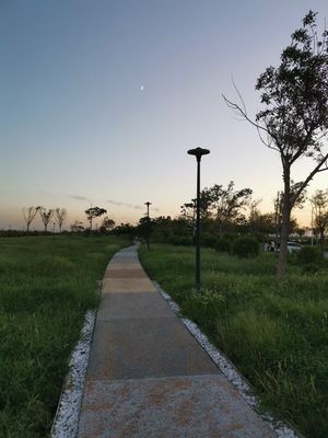 中新生态城观澜角公园旅行图片
