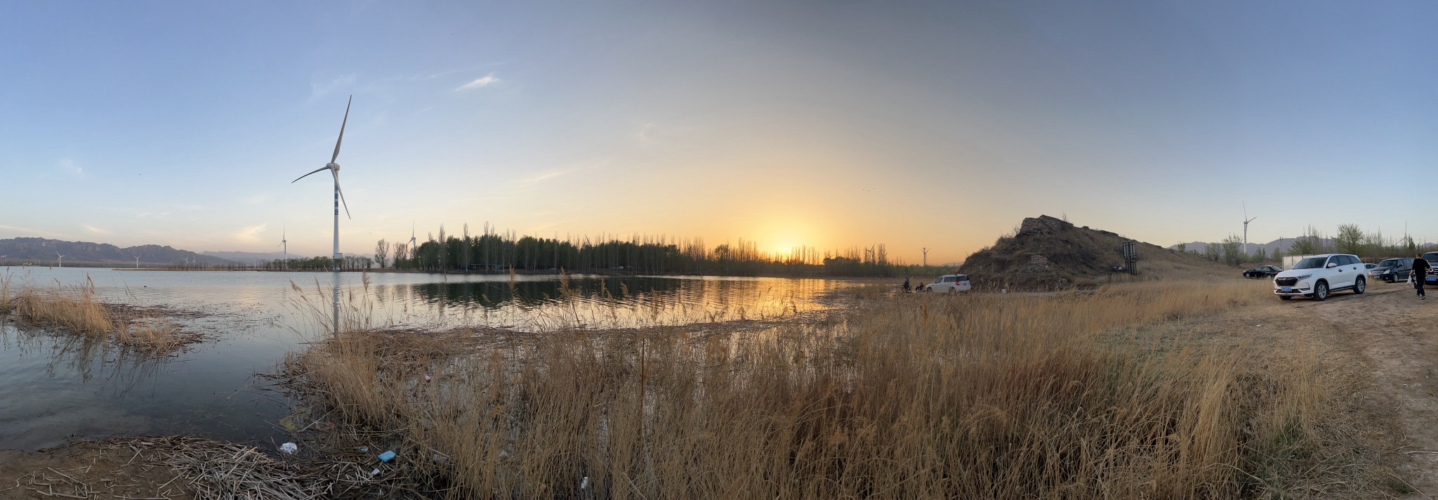 官厅水库八号桥湿地