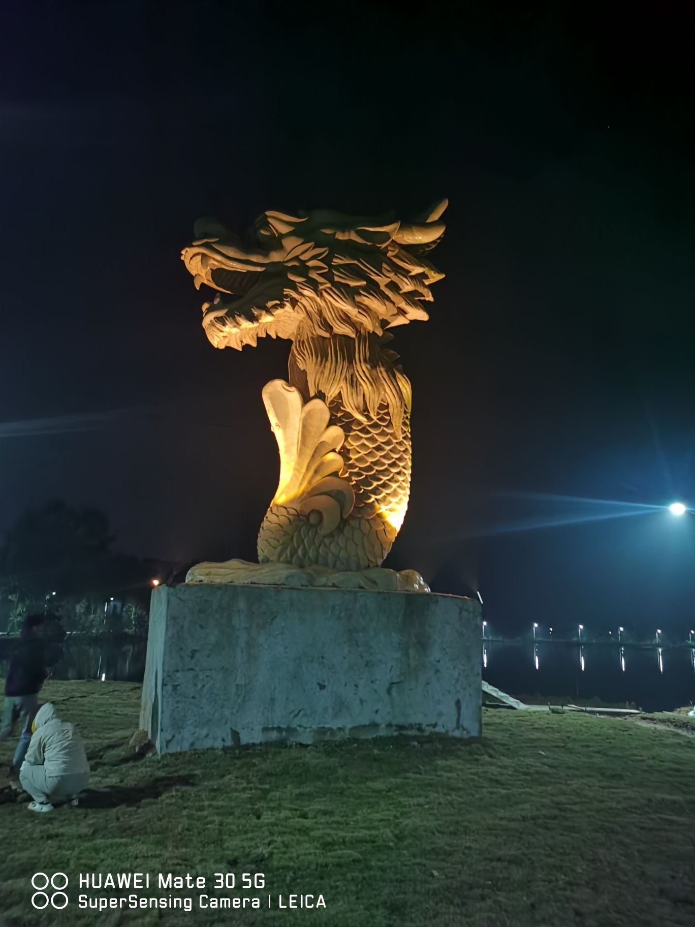 良塘鱼尾龙