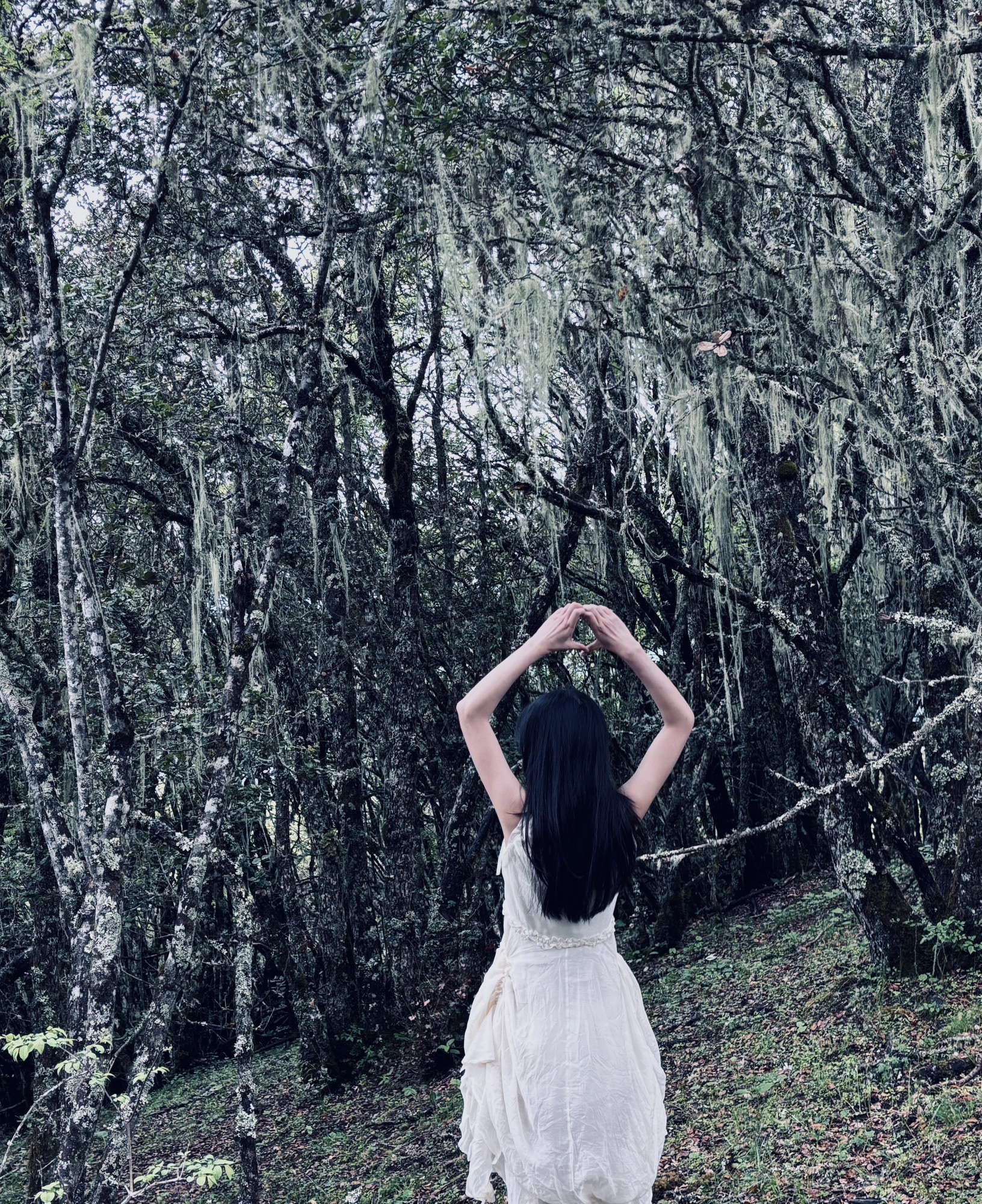 理县二古溪观景台
