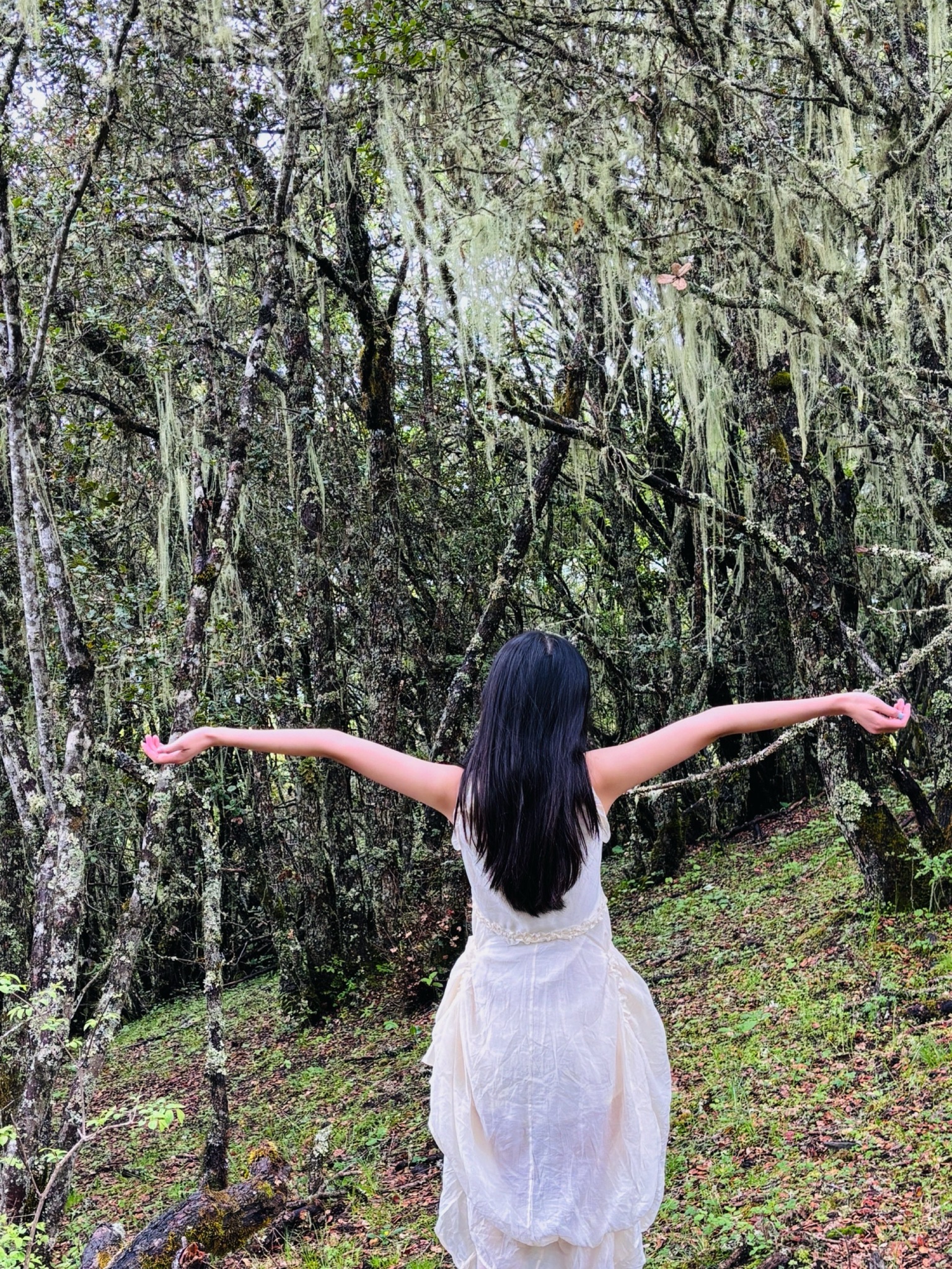 理县二古溪观景台旅行图片