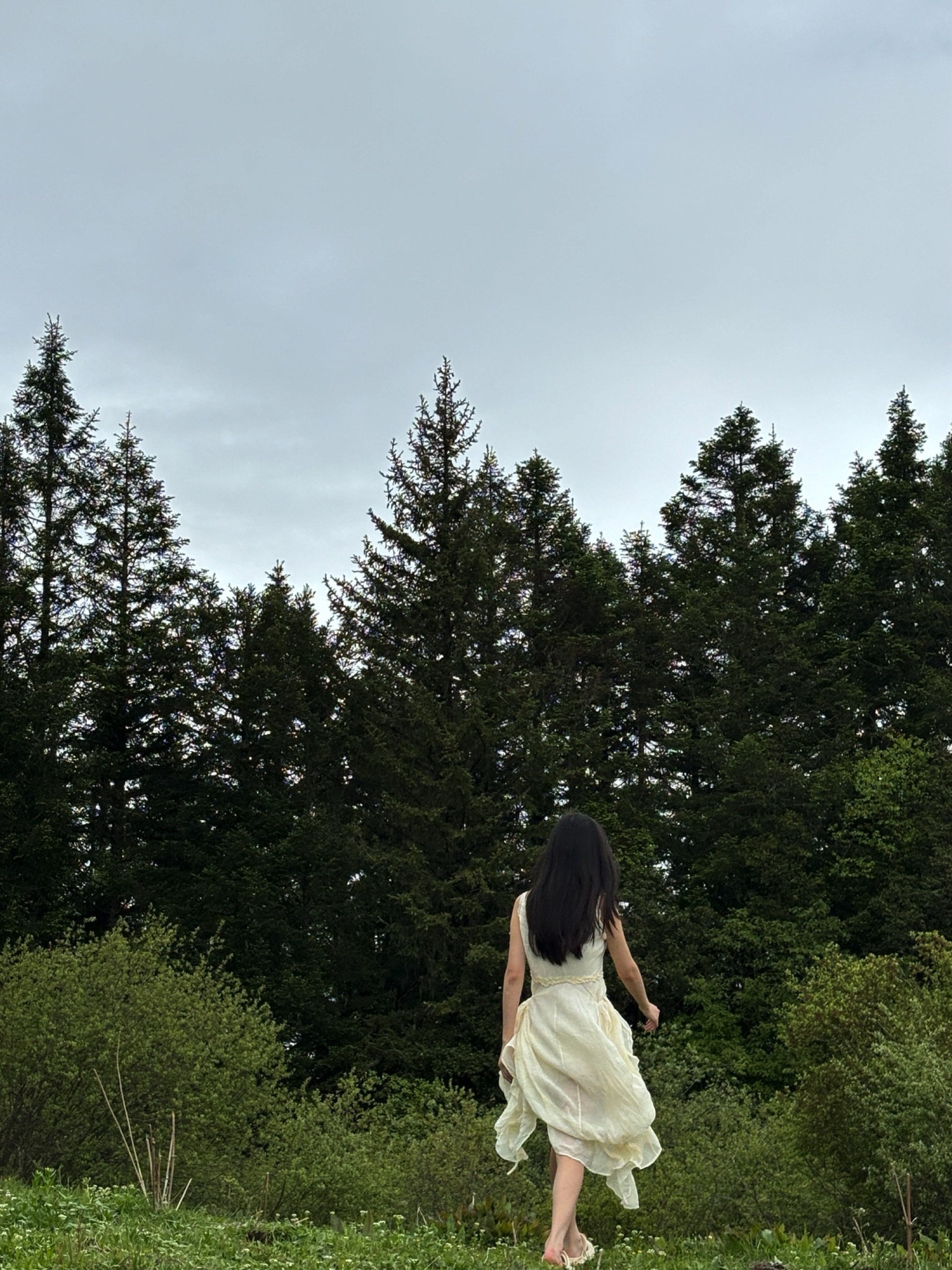 理县二古溪观景台旅行图片