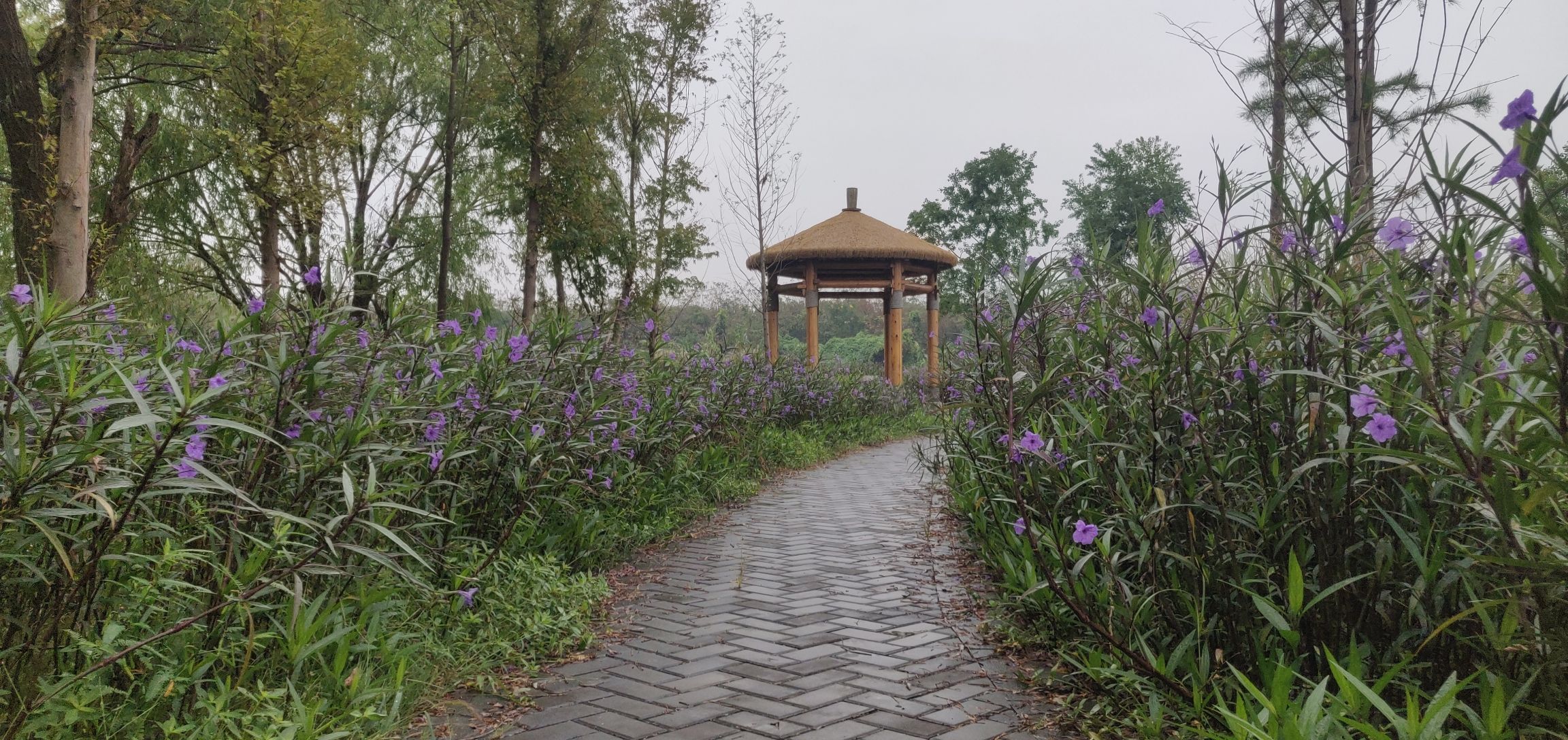 宜兴市省级湿地公园旅行图片