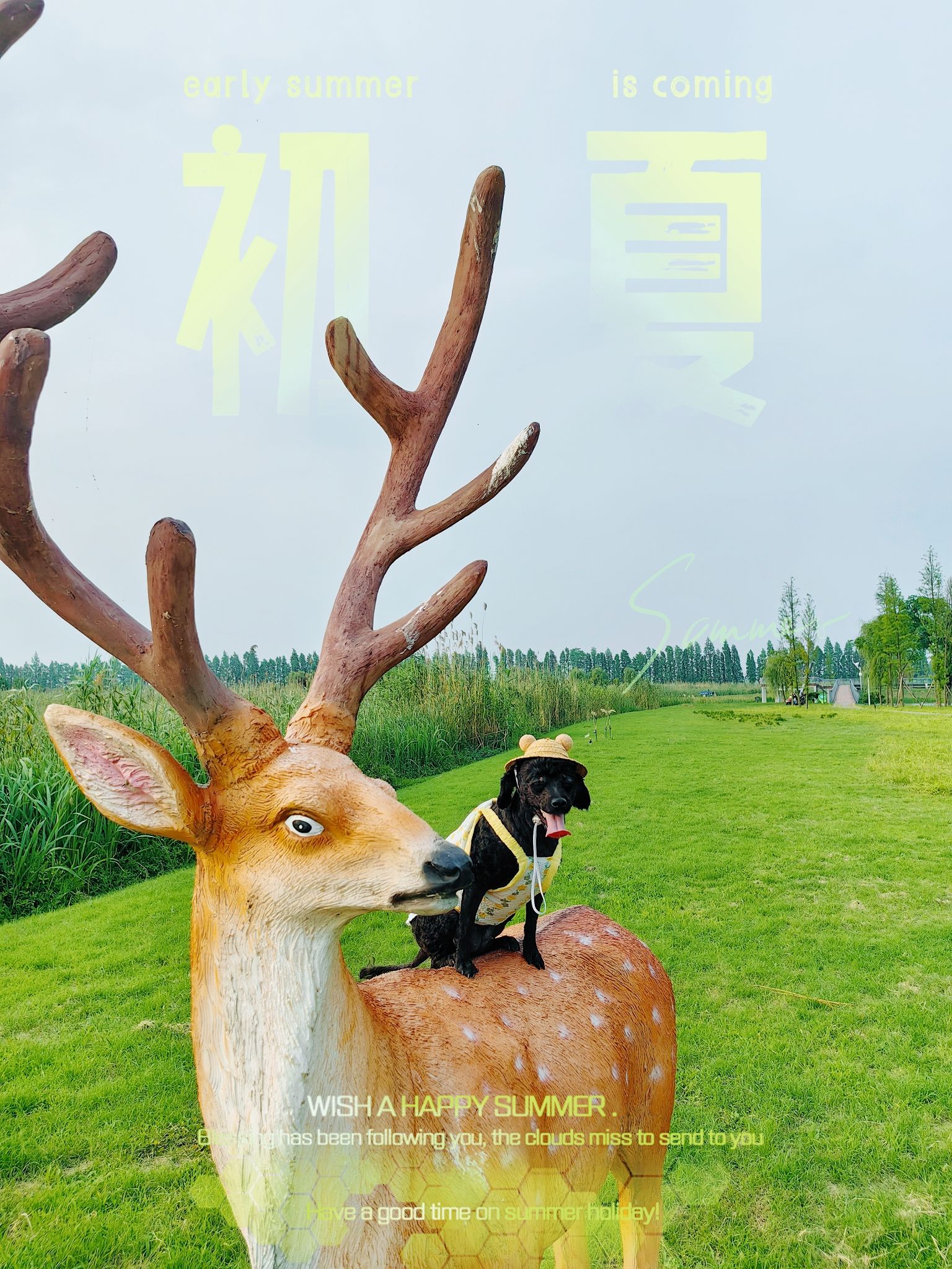 宜兴市省级湿地公园旅行图片