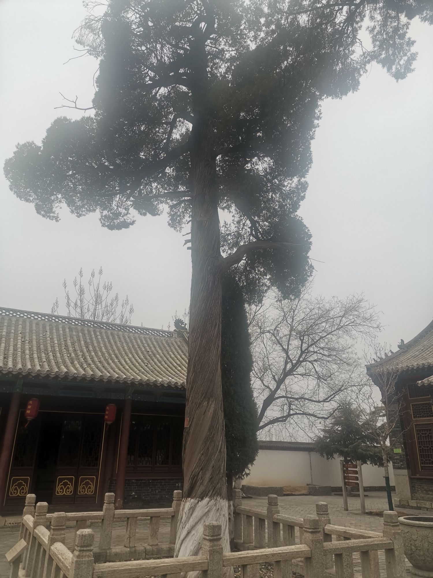 渔洋法治公园旅行图片
