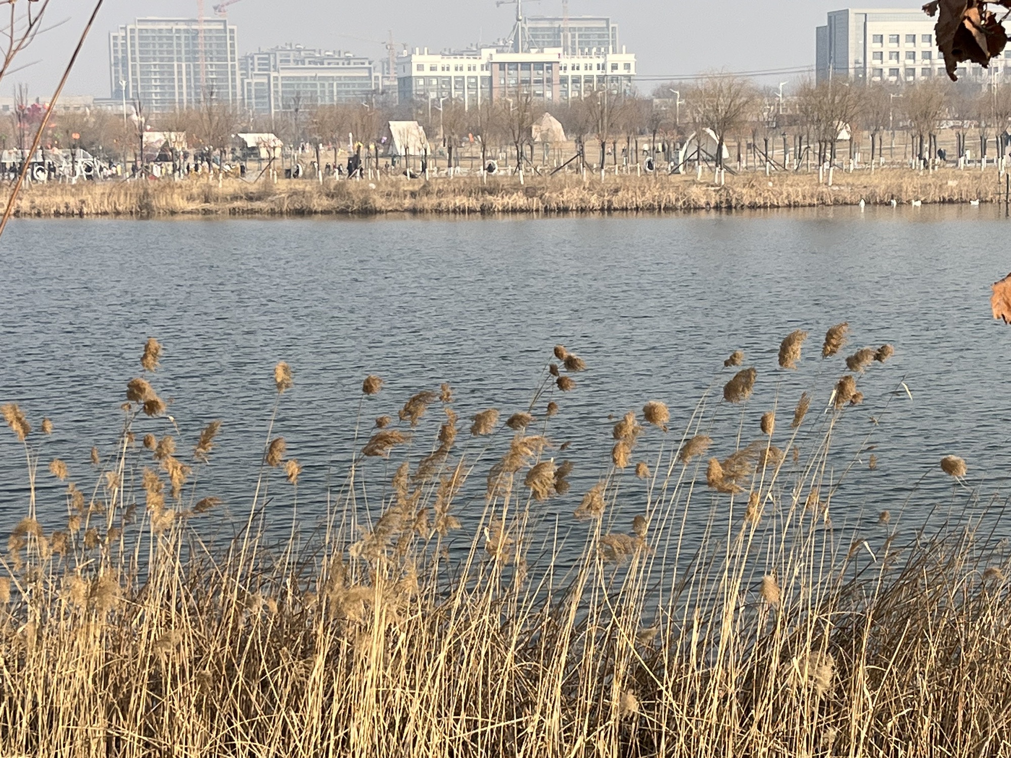 青阳广场